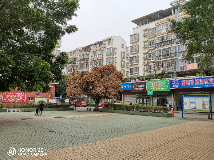荣昌明珠园 随时看房·
