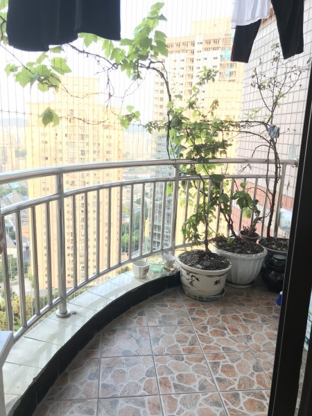 汇彩阁 随时看房·
