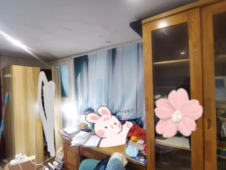 泗泾小区 随时看房·