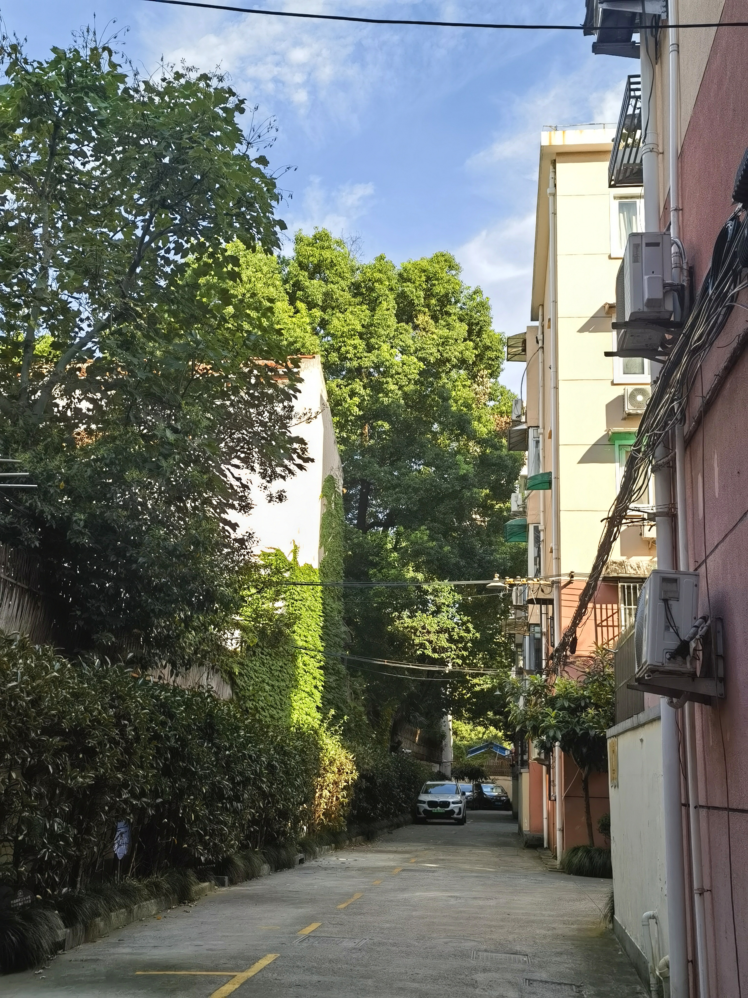 上海市徐汇区康平路207弄小区 随时看房·