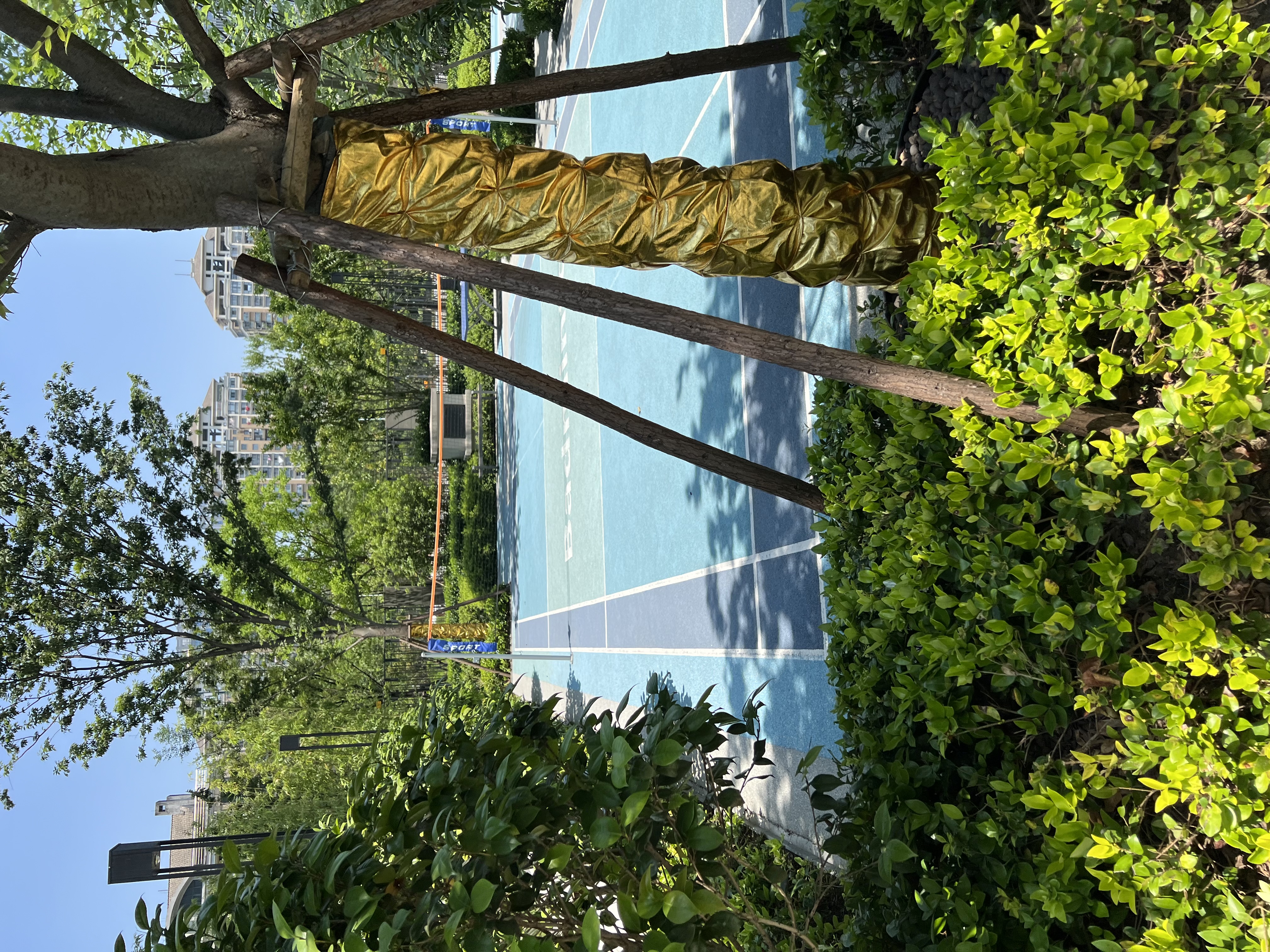 博奥花宸里 随时看房·