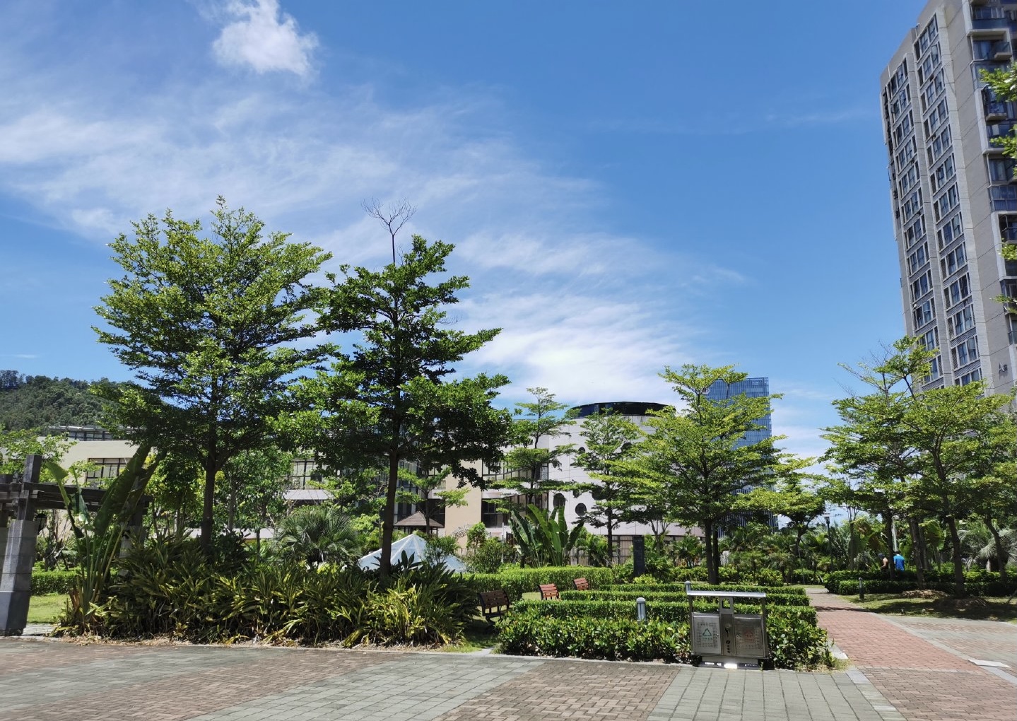 山海津 随时看房·