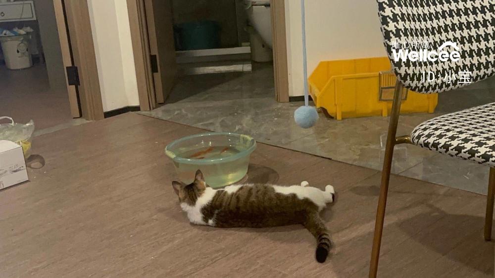 汇铂金座 随时看房·