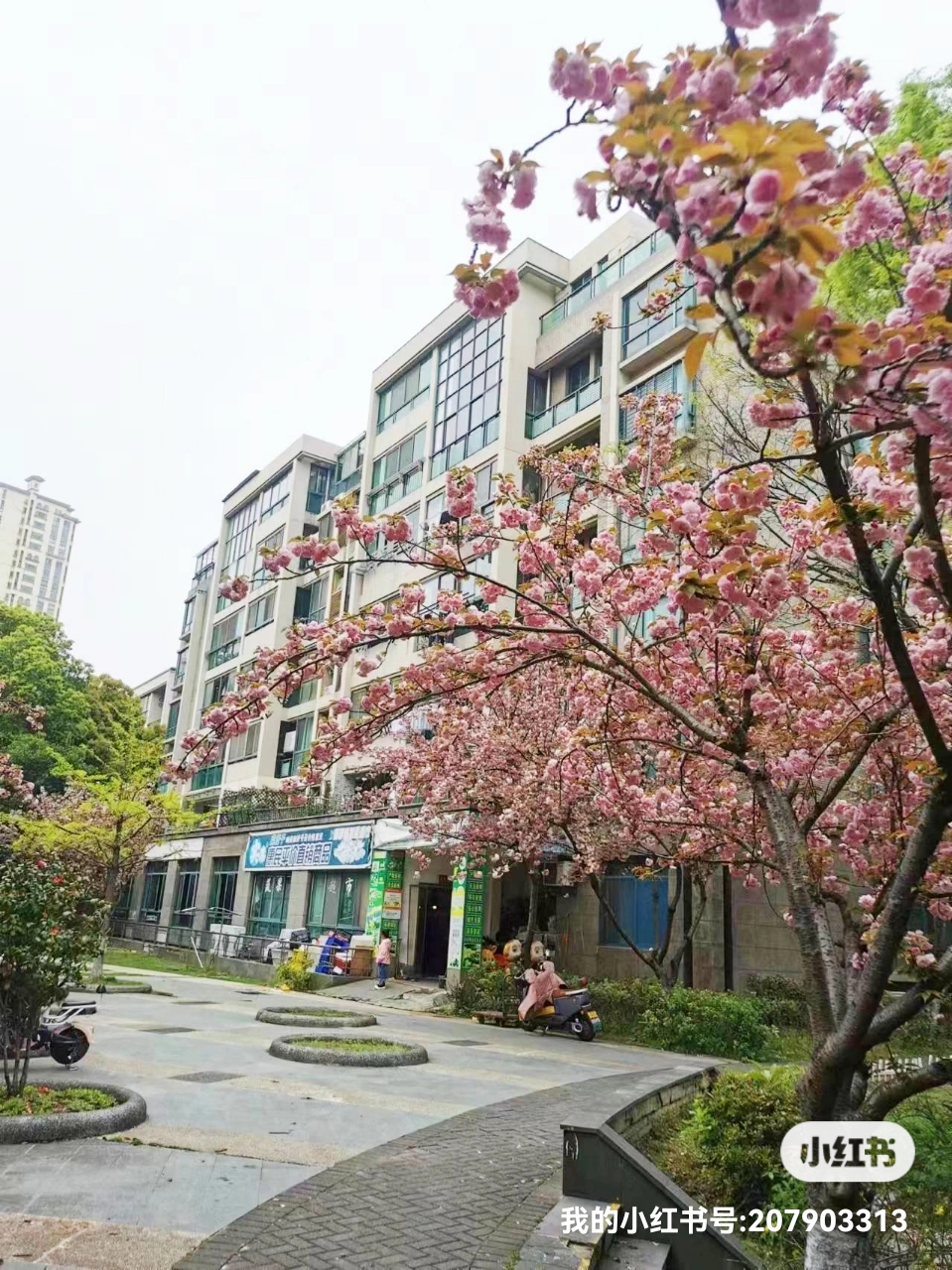 锦绣江南 随时看房·