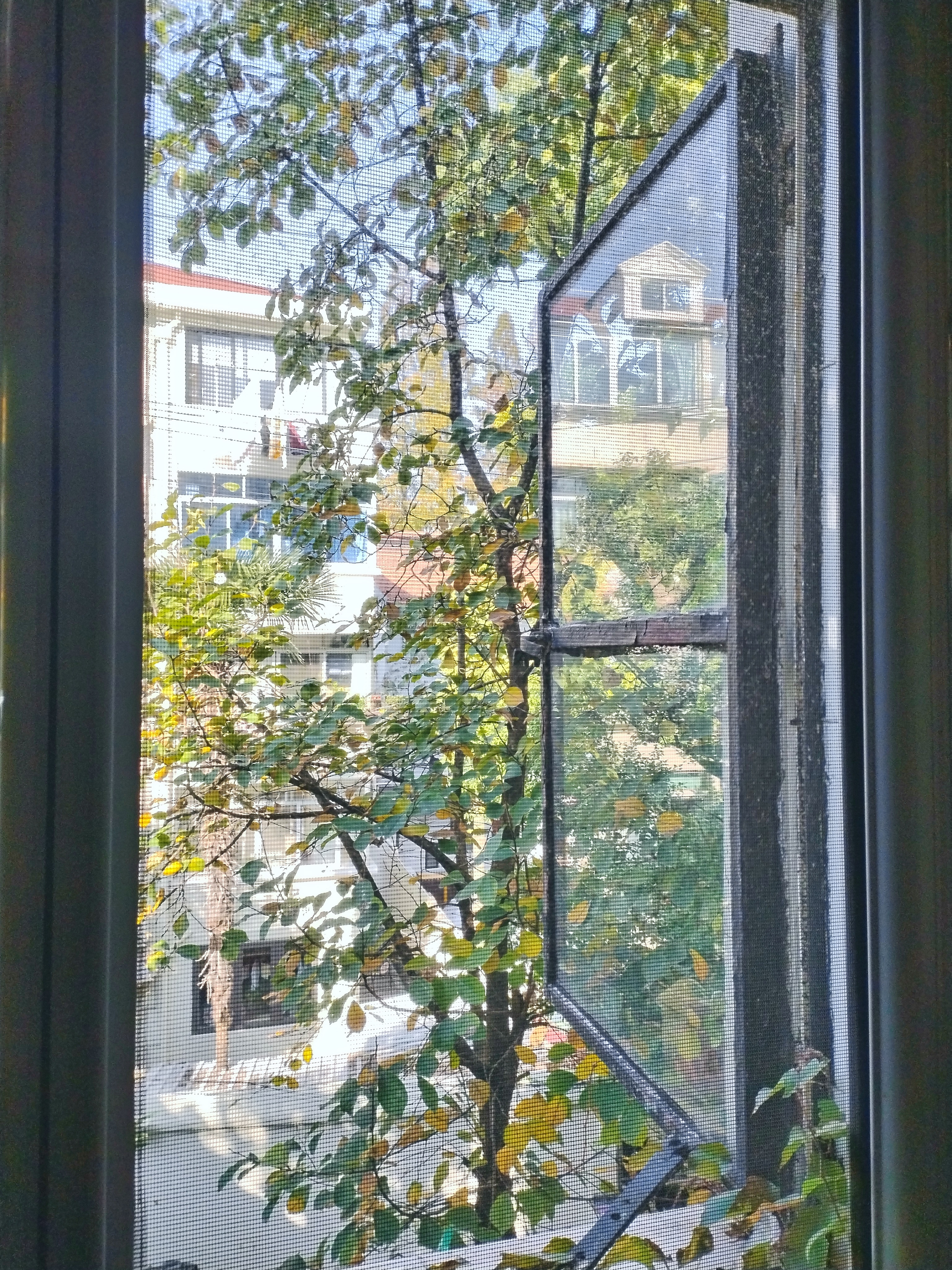 永福路147弄小区 随时看房·