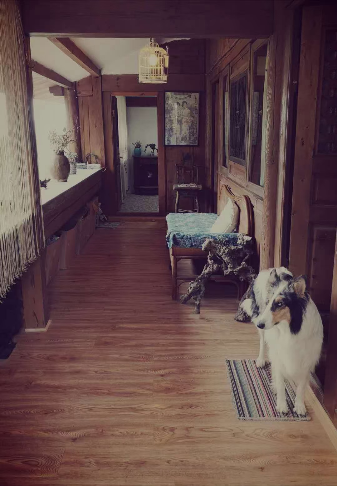 北门坡庭院 随时看房·
