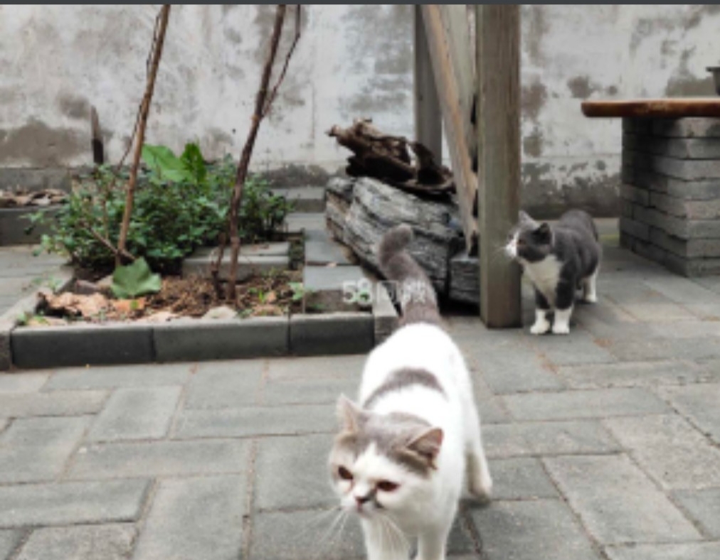 北京市通州区张家湾镇皇家新村 随时看房·