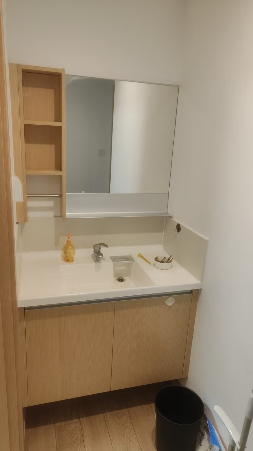 皖投天下艺境 随时看房·