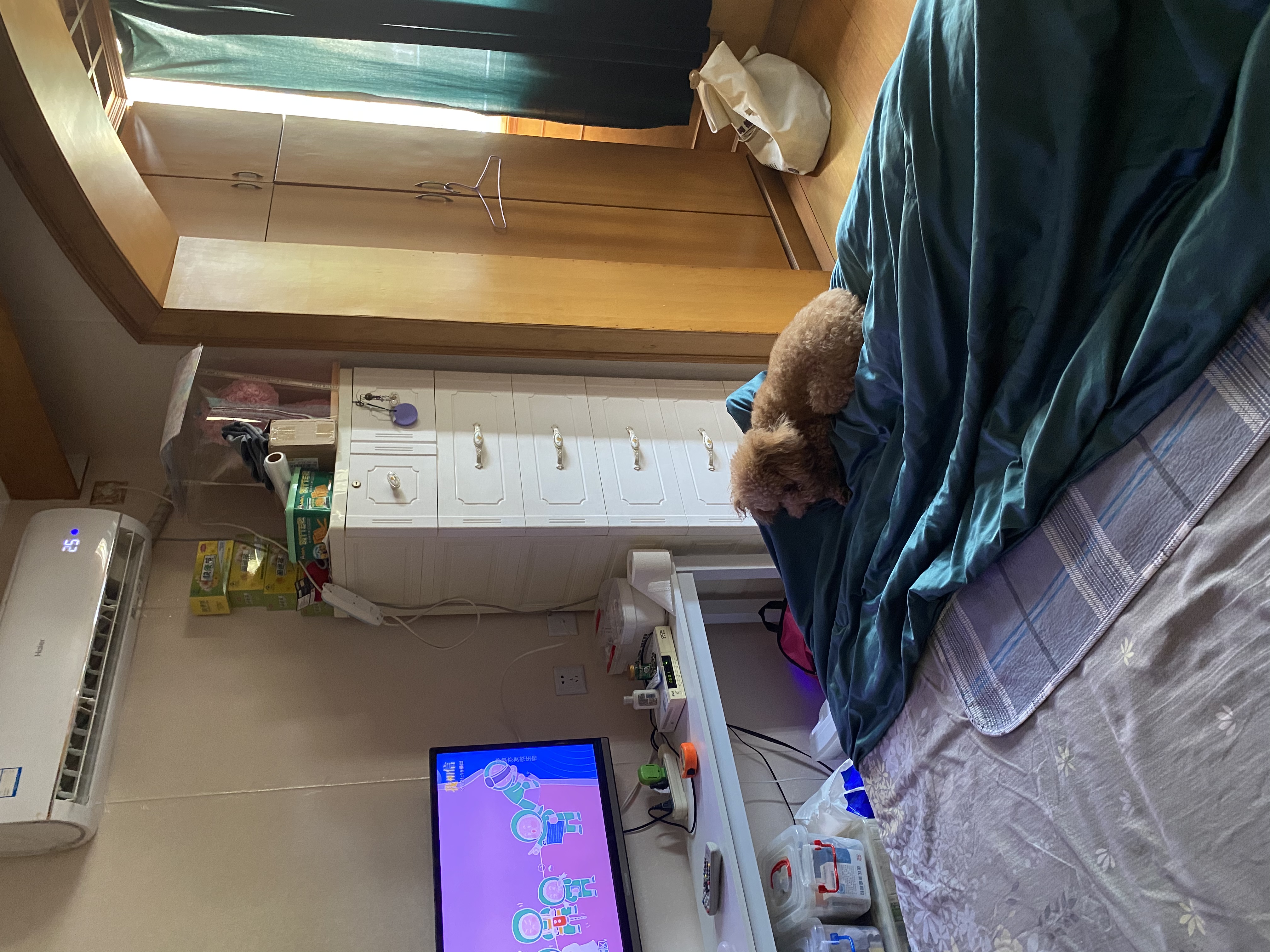 东风小区 随时看房·