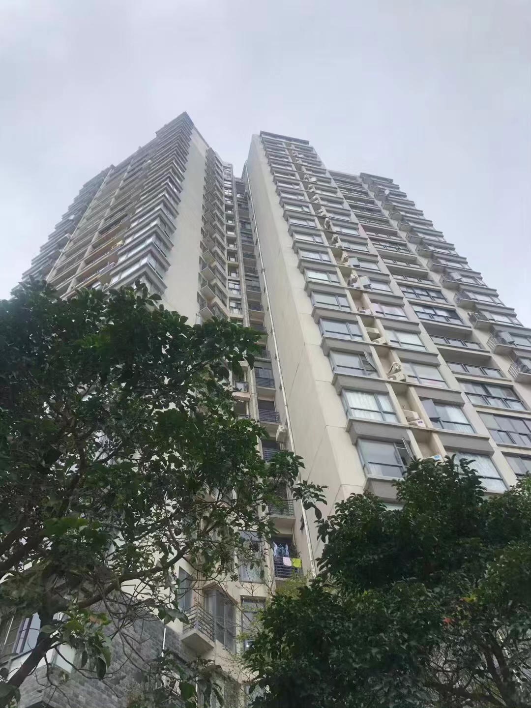 江南城 1居室 1500元/月