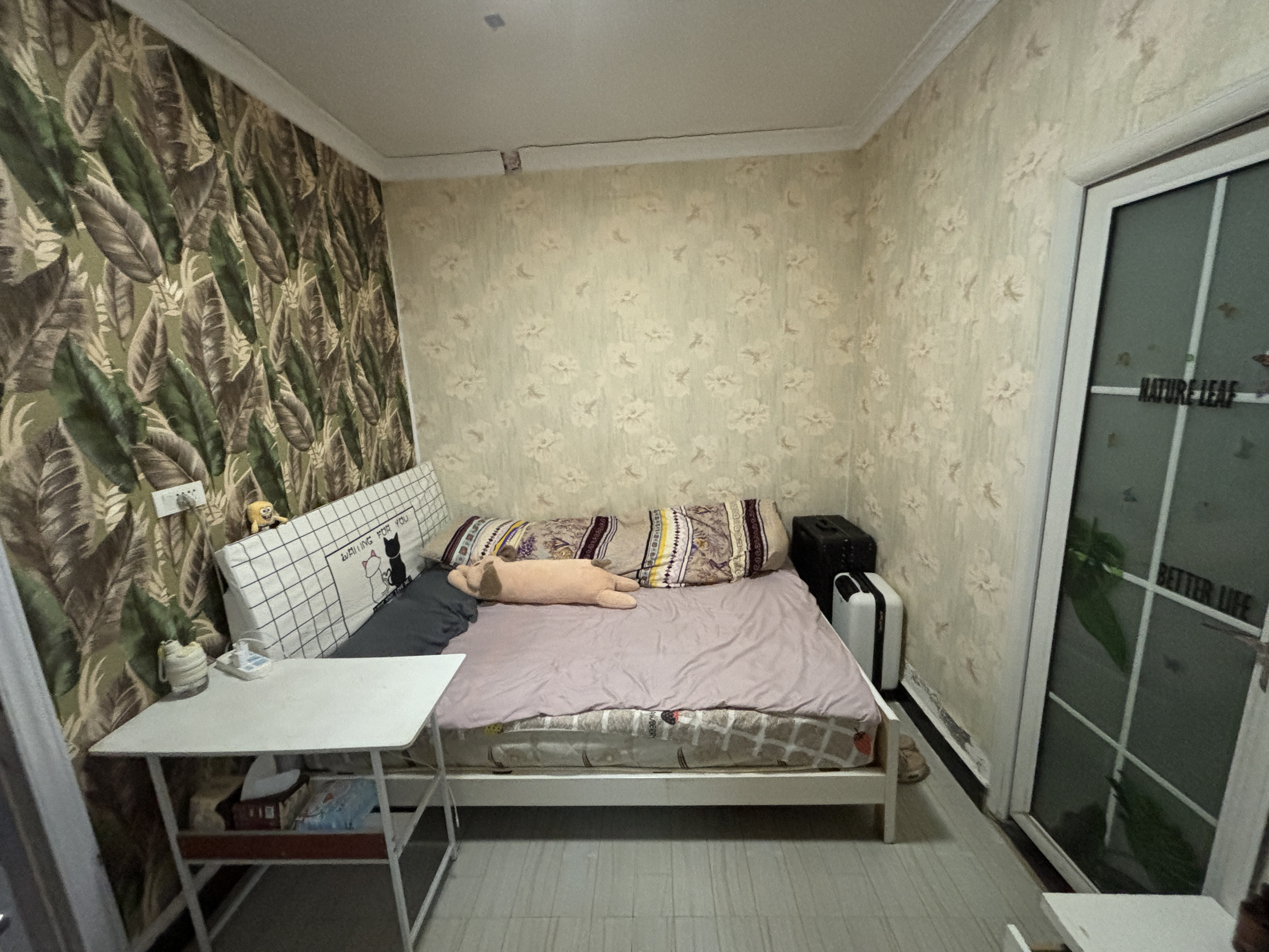 T1区十栋 1居室 800元/月