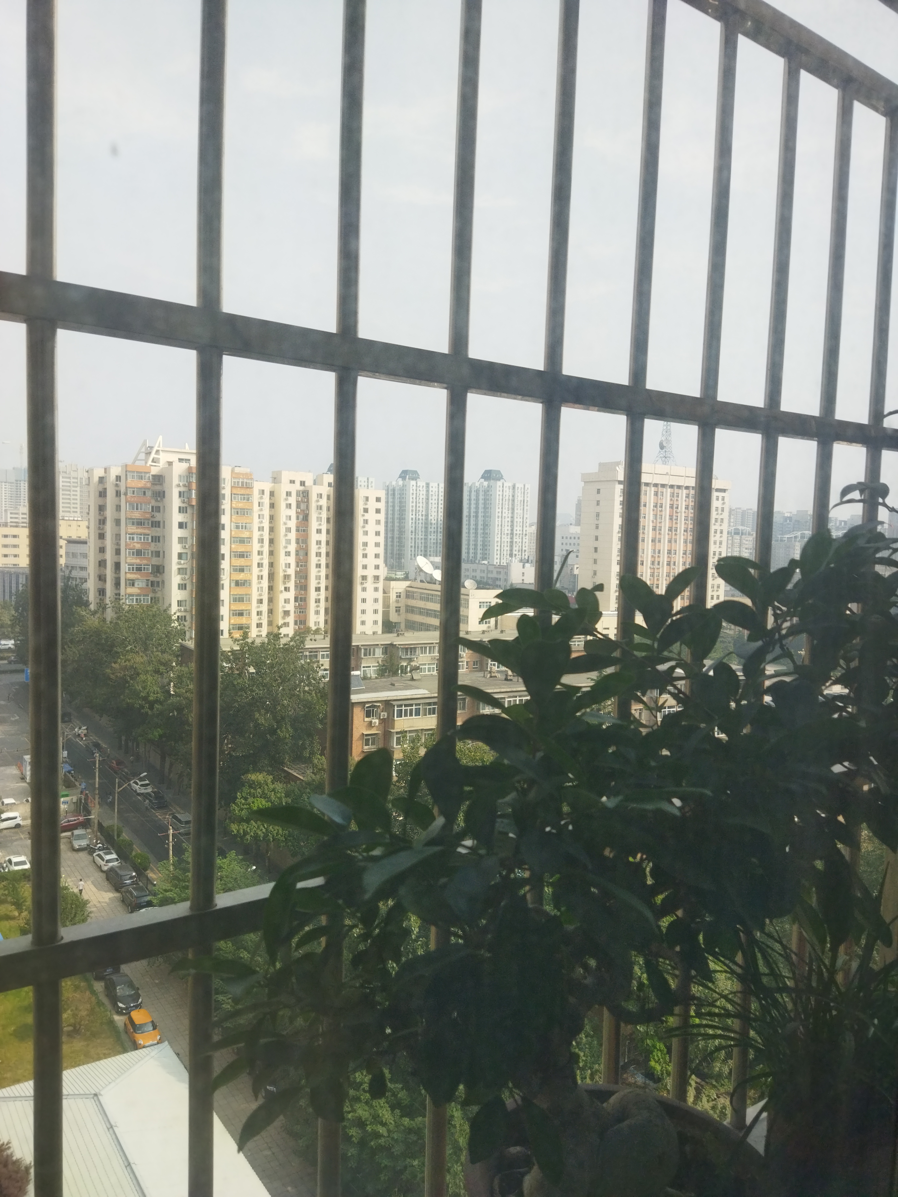 庄维花园 随时看房·