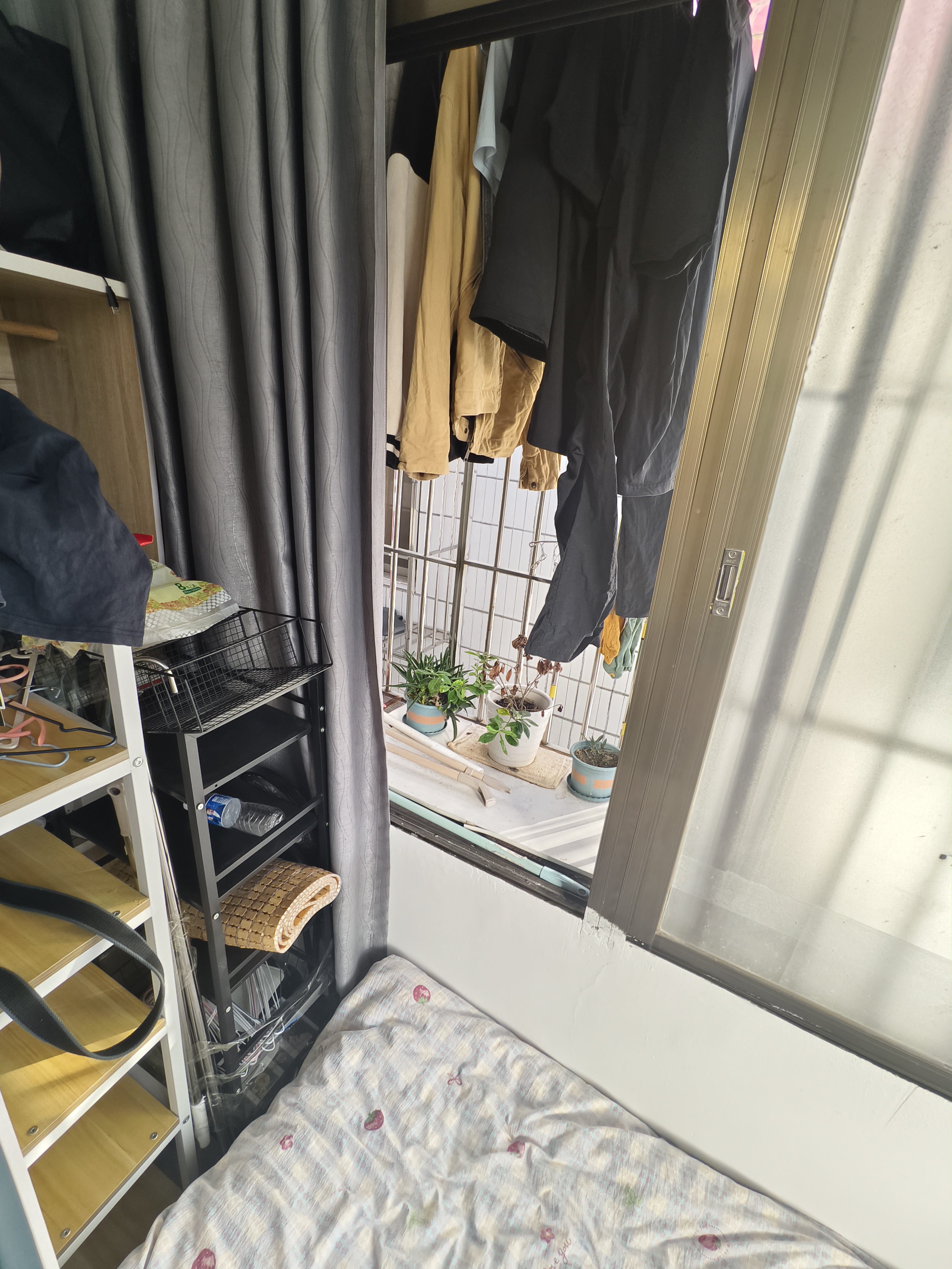 南沙新村 随时看房·