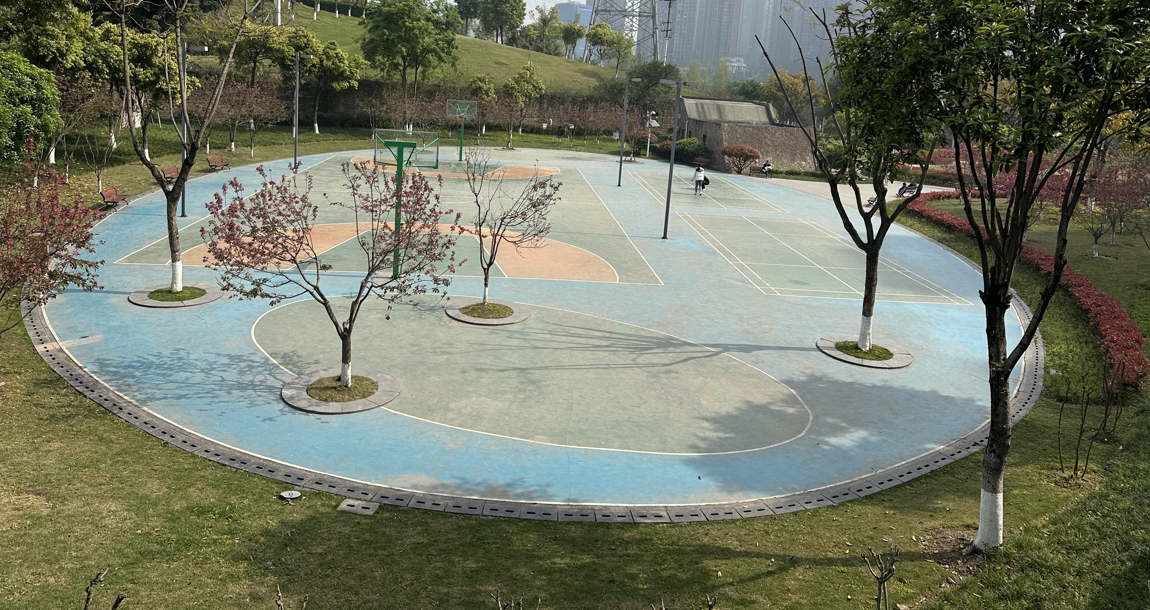 远洋香派 随时看房·