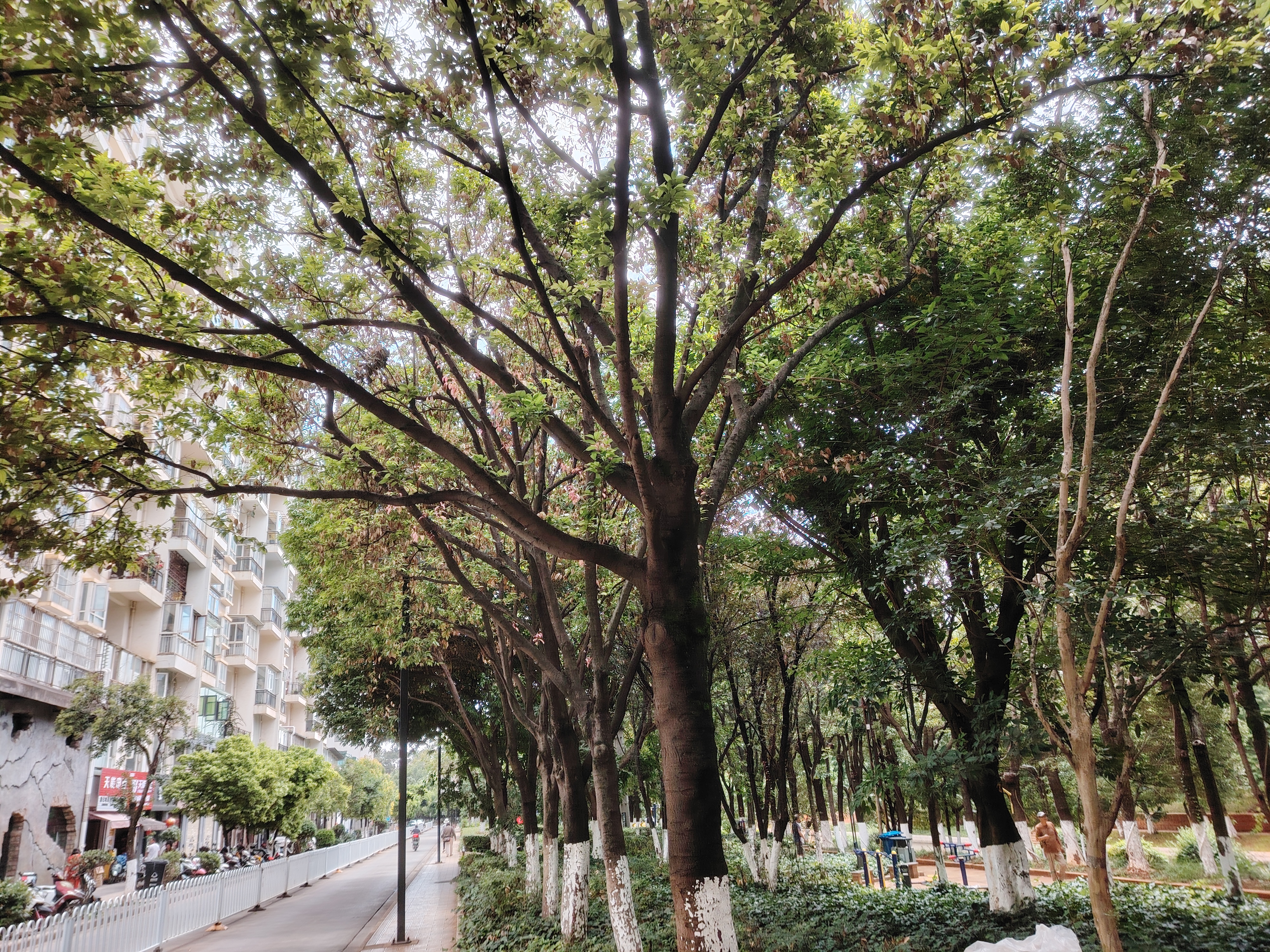 临江雅苑 随时看房·