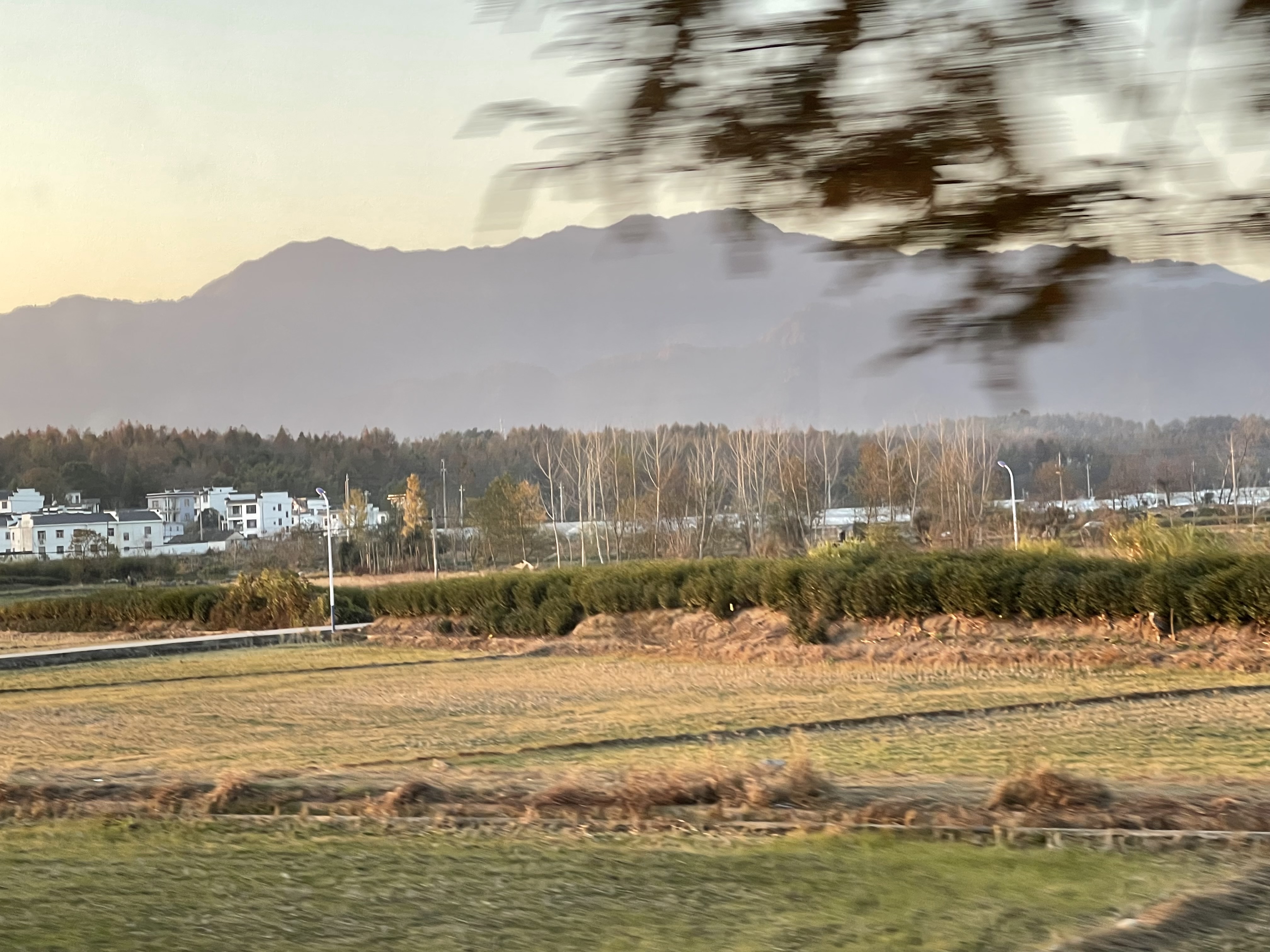 欣沁苑东区 随时看房·