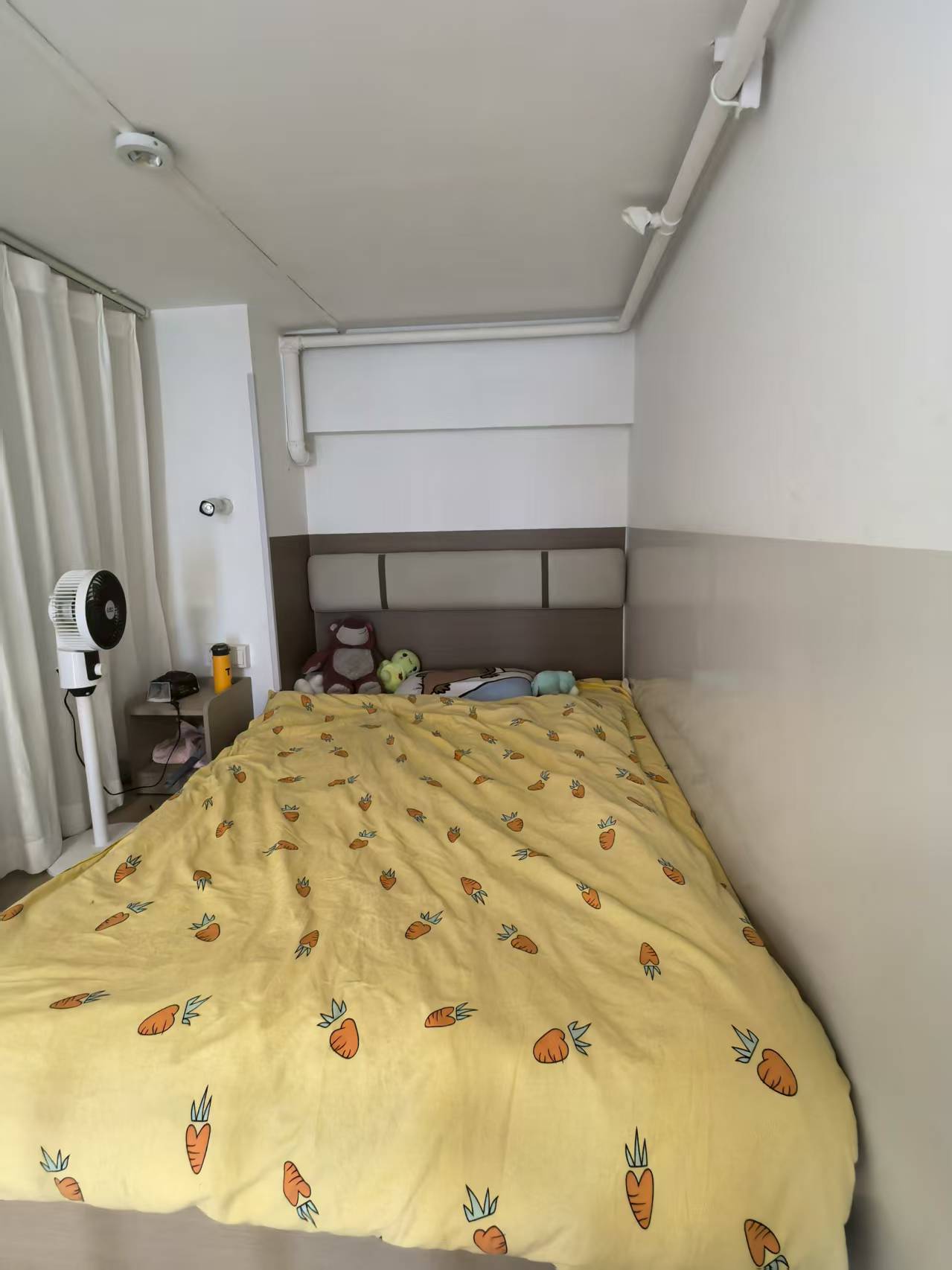 紫金中心泊寓公寓 随时看房·