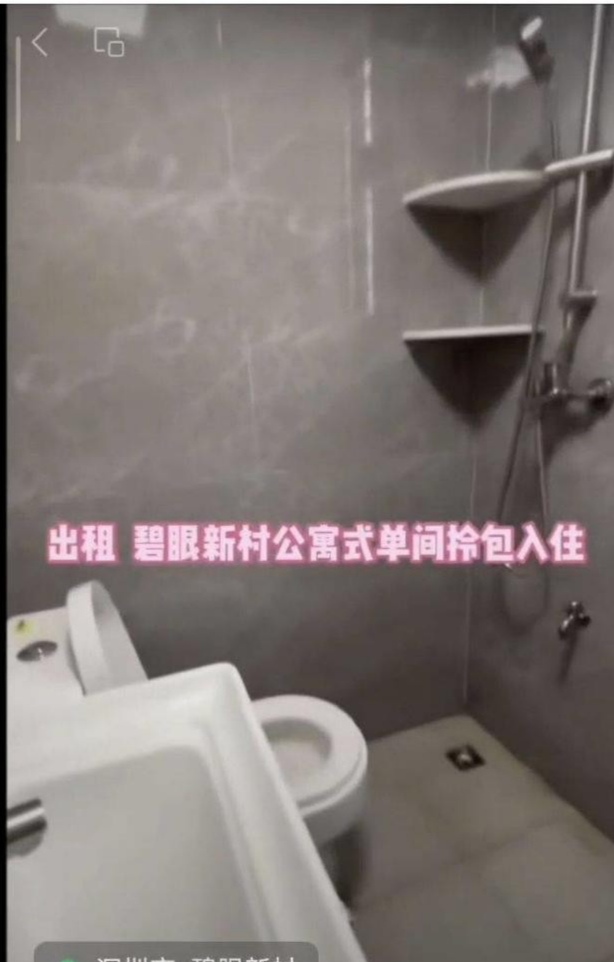 碧眼新村 随时看房·