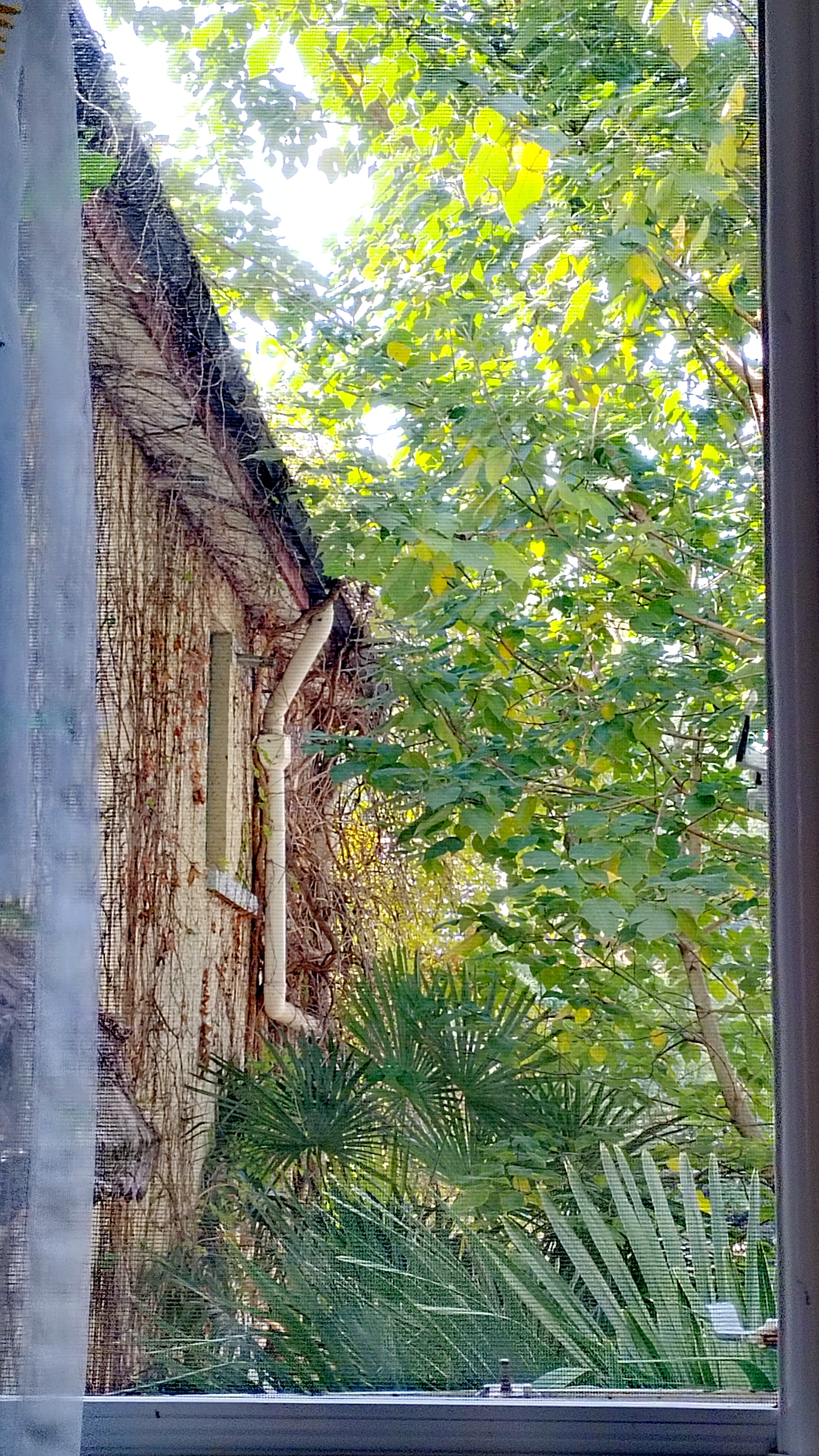 永福路147弄小区 随时看房·