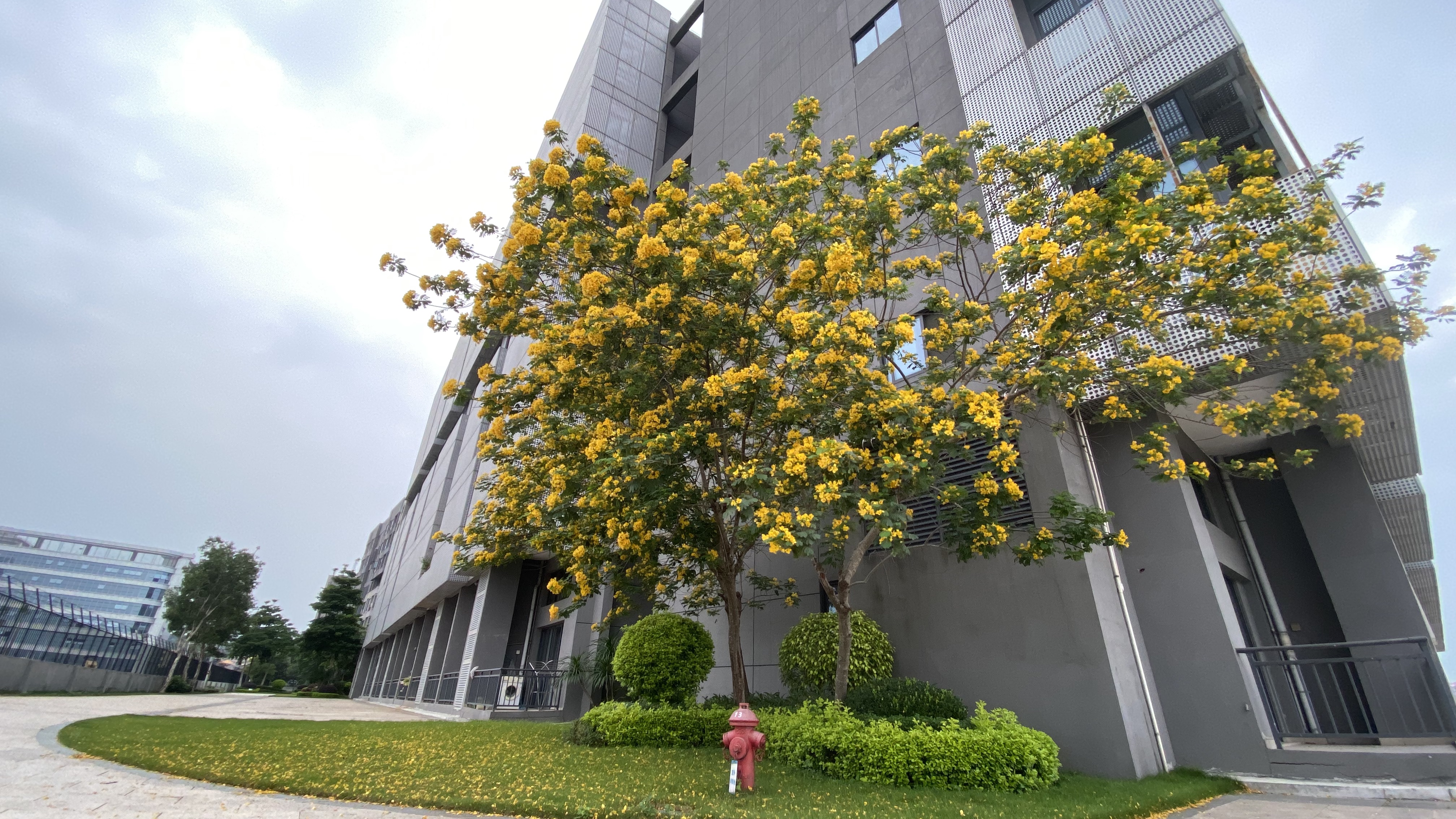 碧桂园空港国际 随时看房·