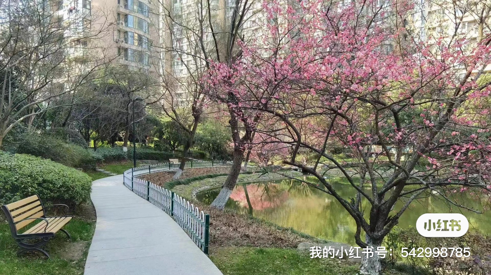 文鼎苑 随时看房·