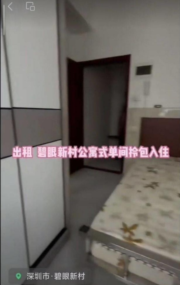 碧眼新村 1居室 1400元/月