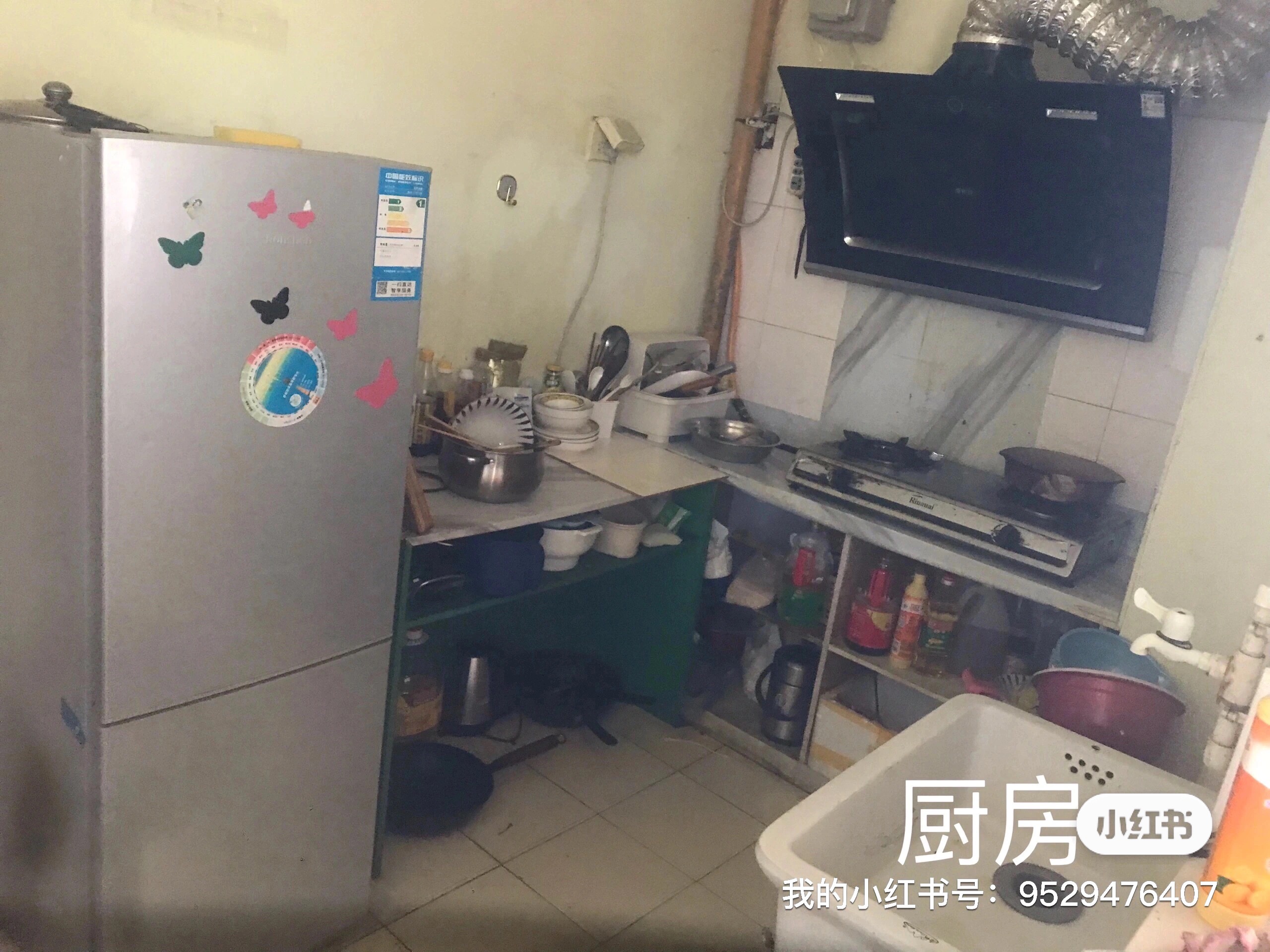 新泓国际公寓 随时看房·