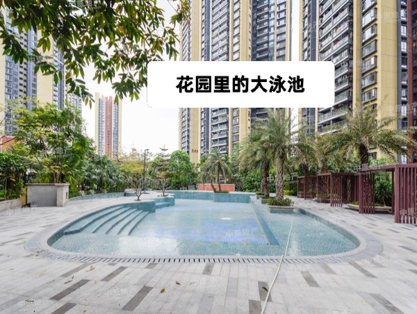 星河传奇 随时看房·