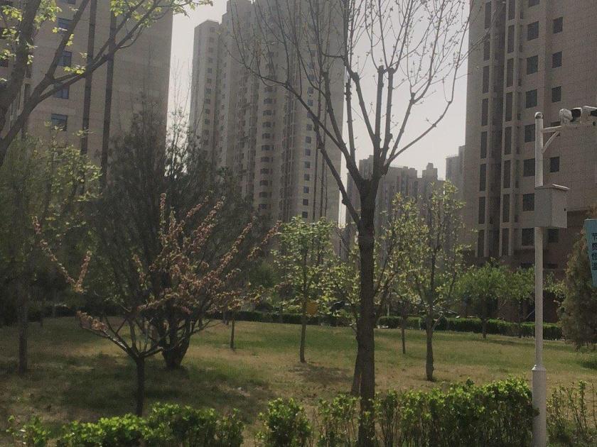 东方丽城 随时看房·