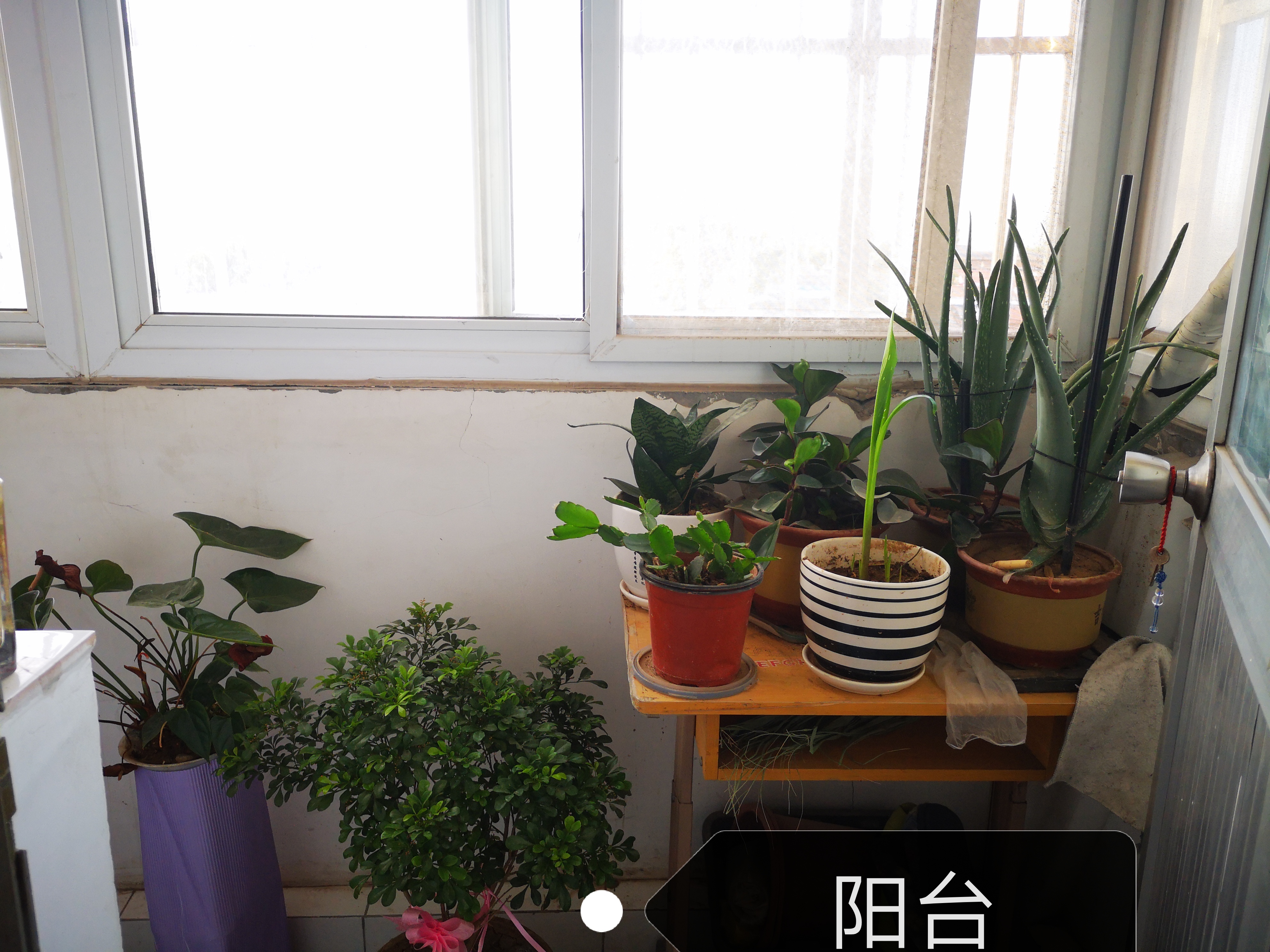 新城宿舍楼 随时看房·