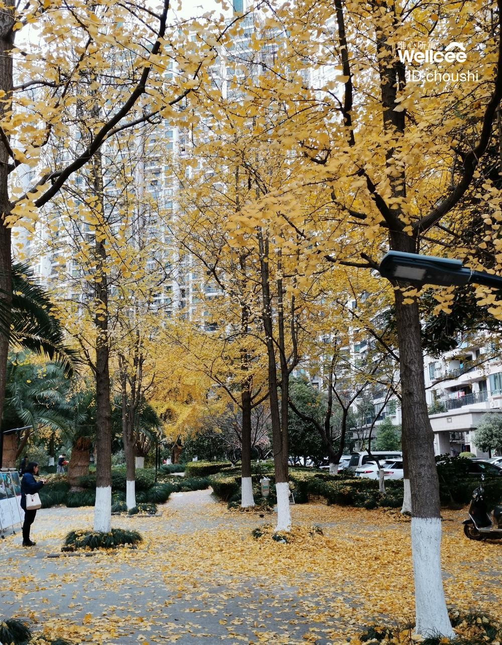 中远两湾城 随时看房·