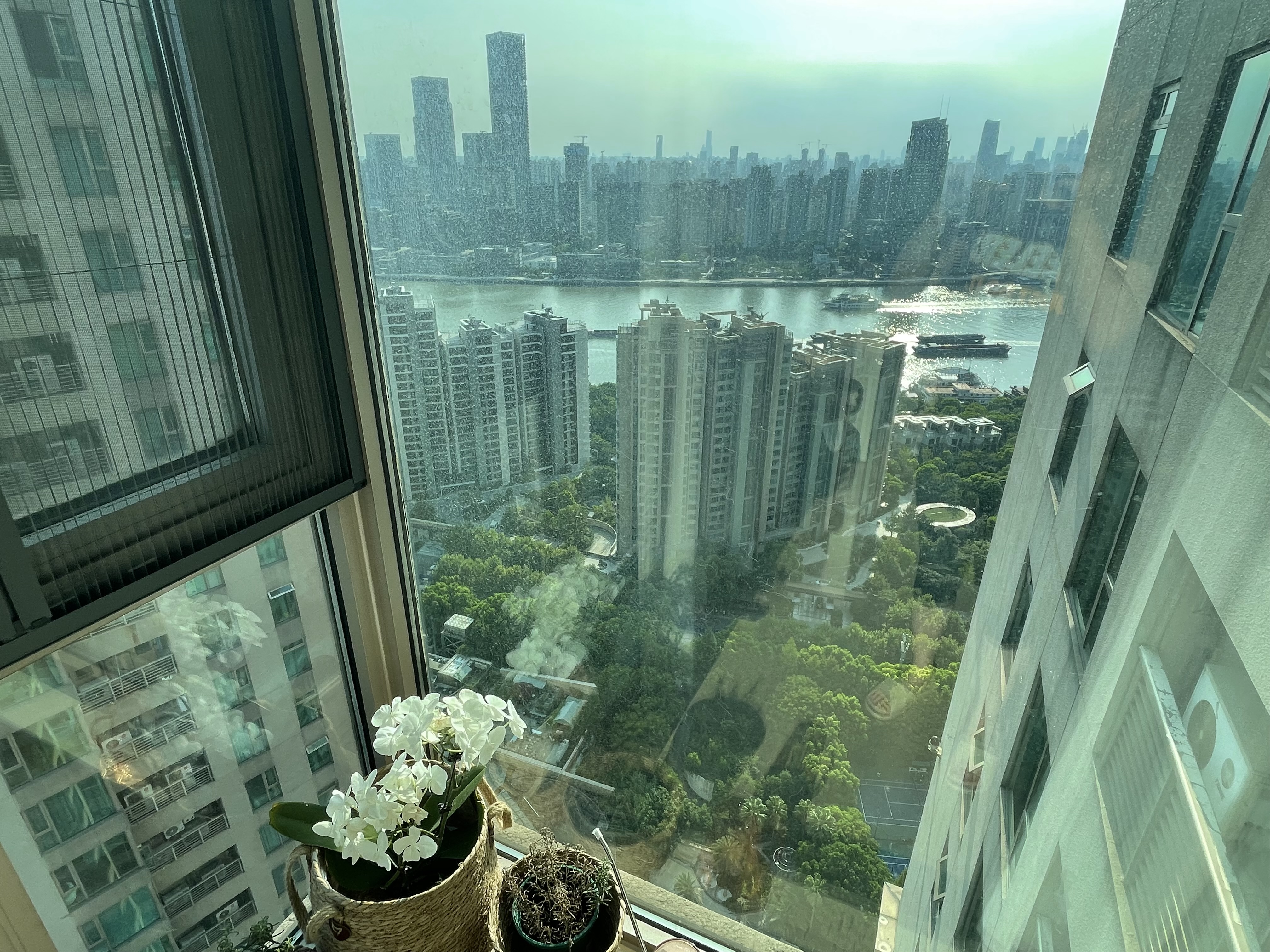 世茂滨江花园 随时看房·