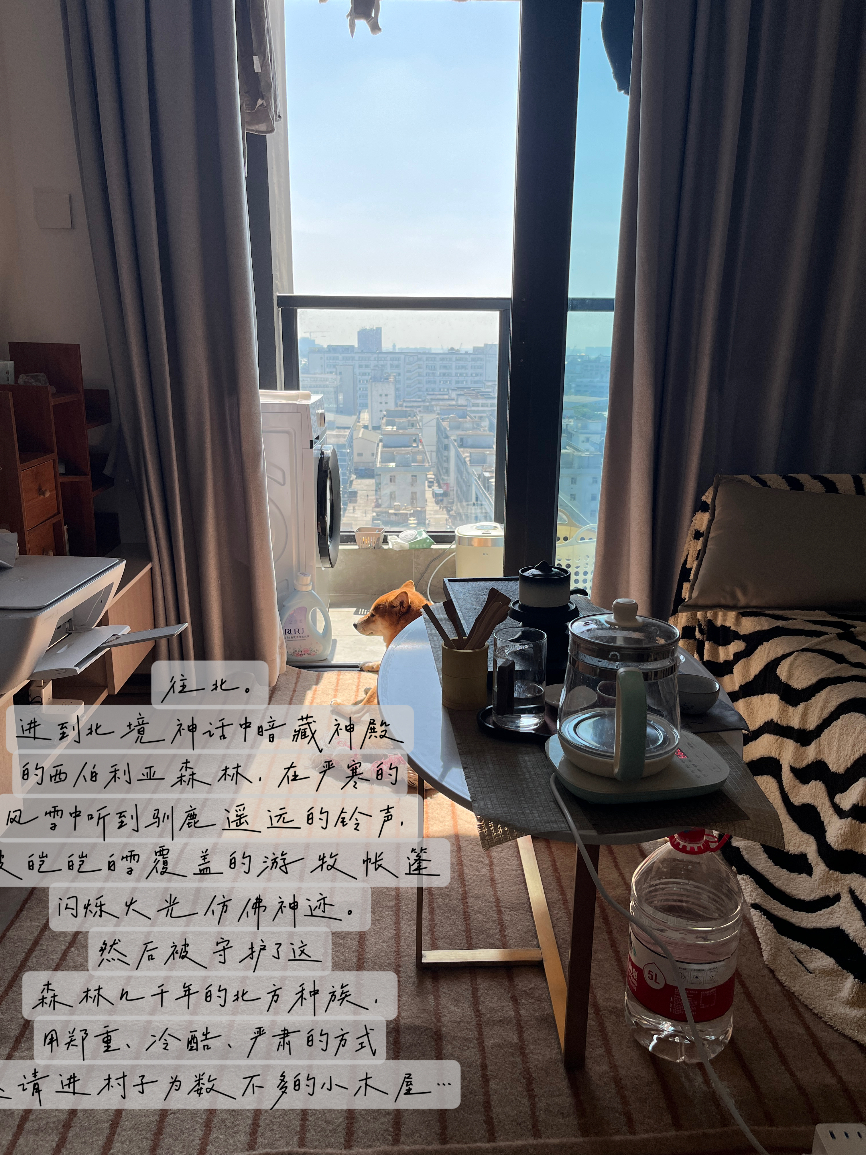 怀德国际 随时看房·