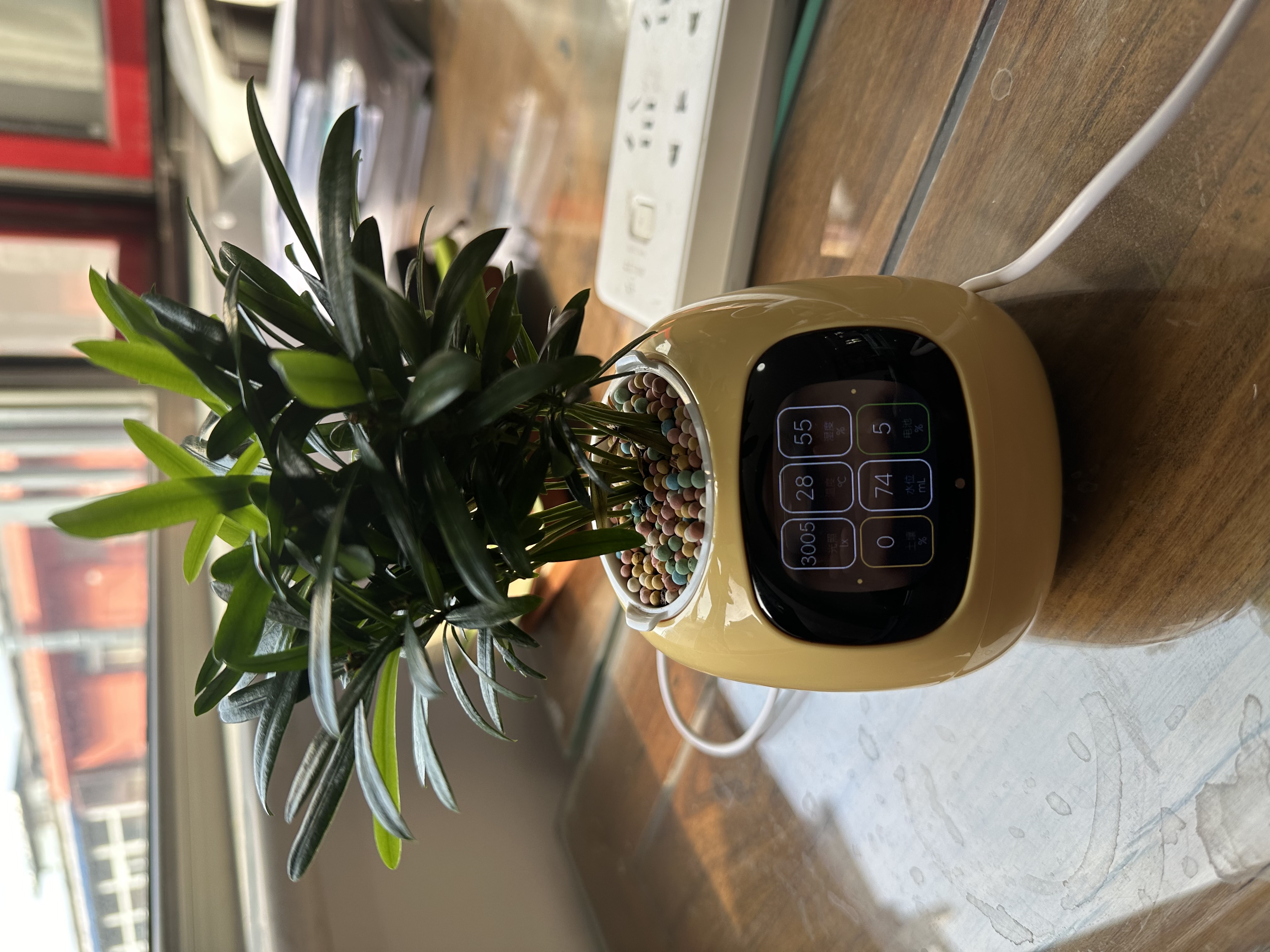 金梧桐公寓 随时看房·