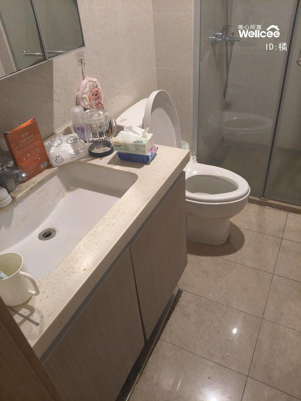 东原晴天见 随时看房·