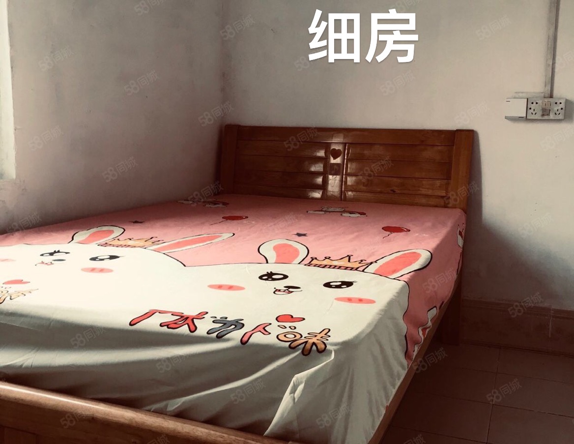 林岳西埗村南坊50号大展宏兔温馨小屋 1居室 380元/月