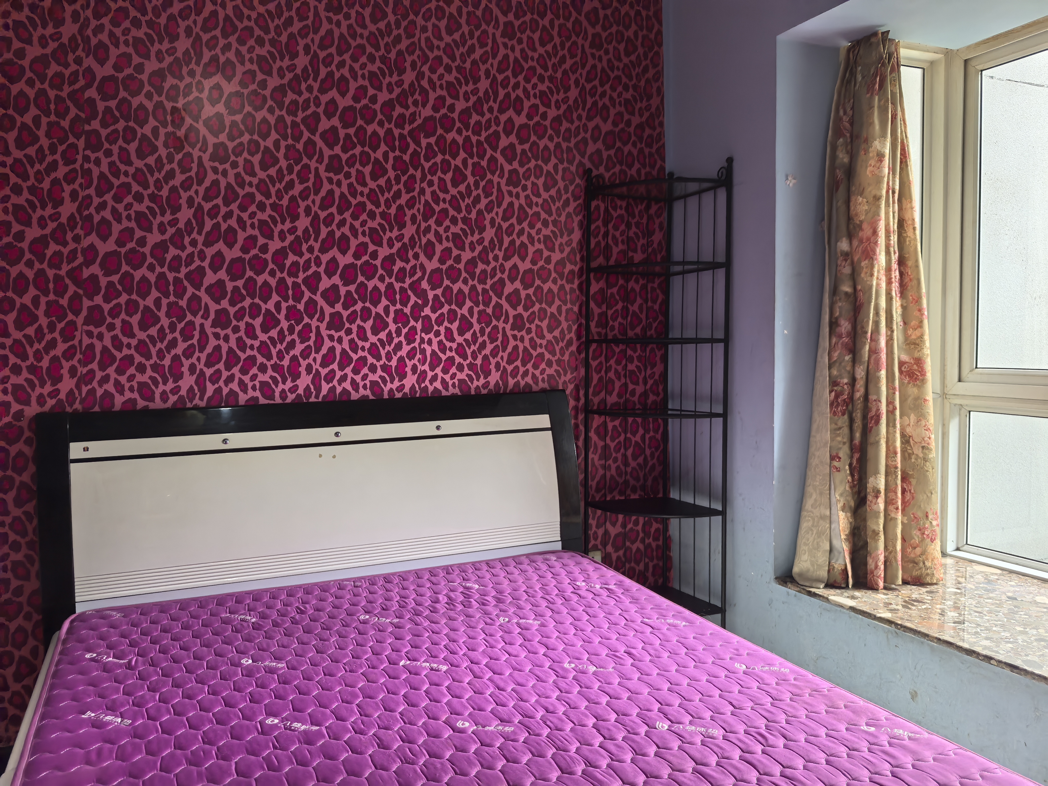 colour彼岸 随时看房·