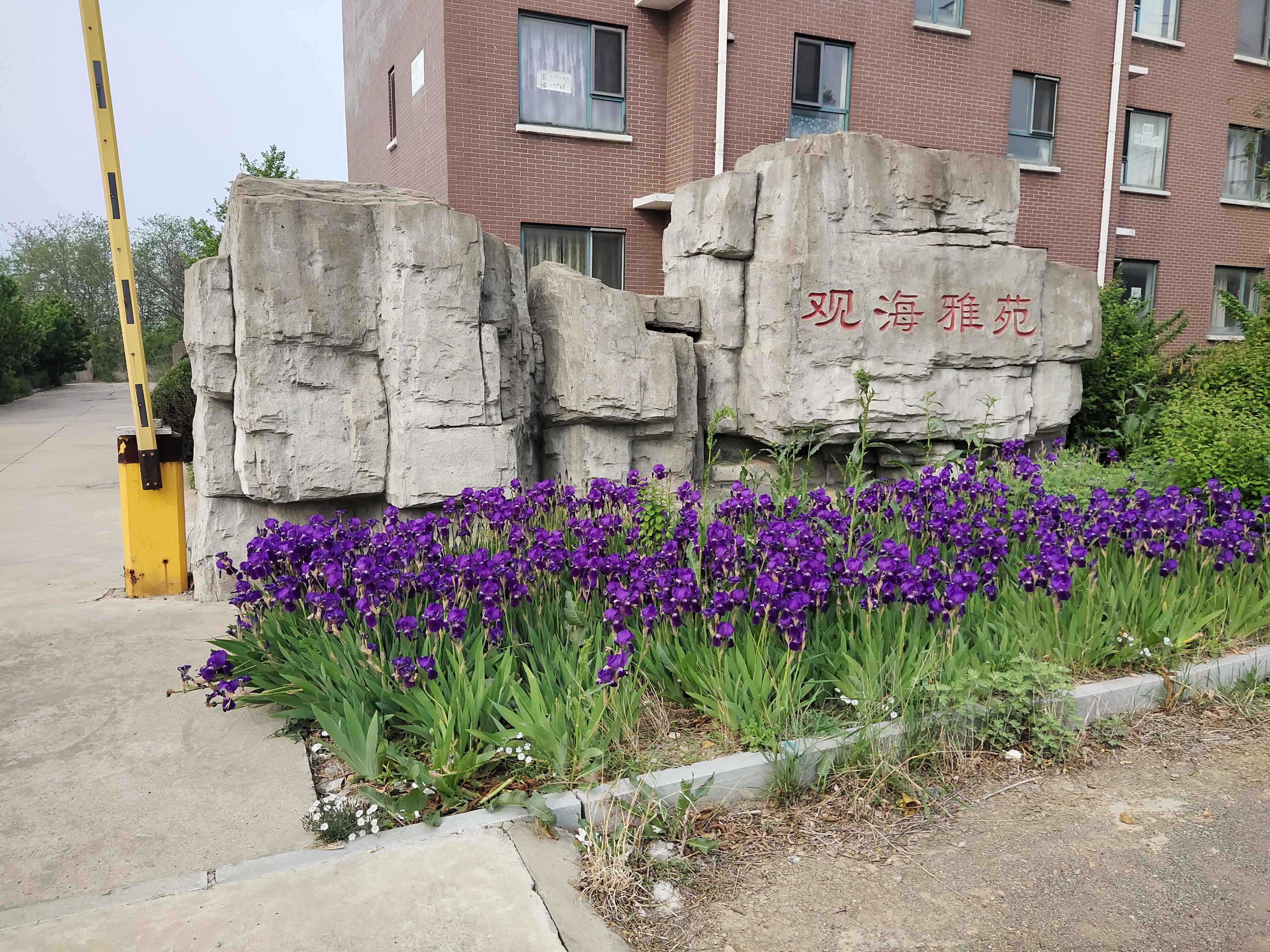 观海雅苑小区 随时看房·