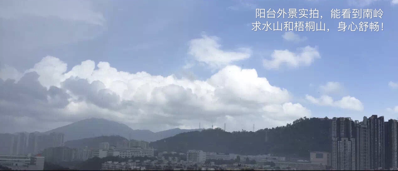 南景豪庭 随时看房·