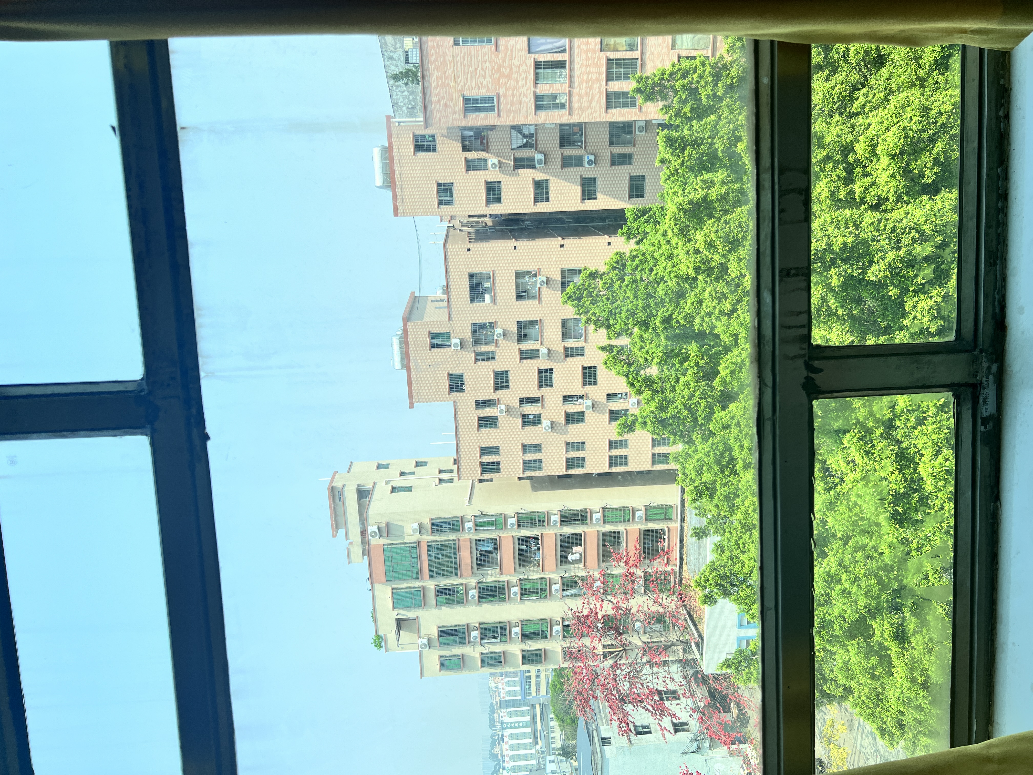 罗岗村 随时看房·