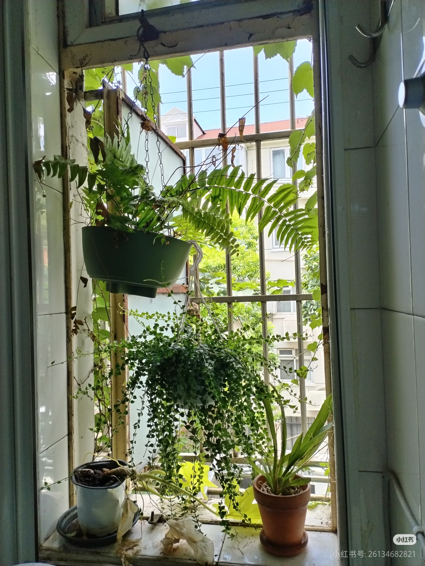 永福路147弄小区 随时看房·