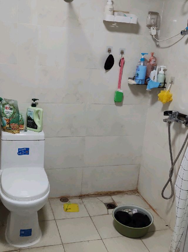 阳光帝景 随时看房·