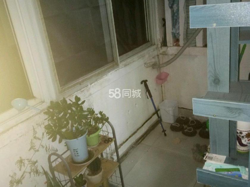 山东省建筑材料工业设计...）