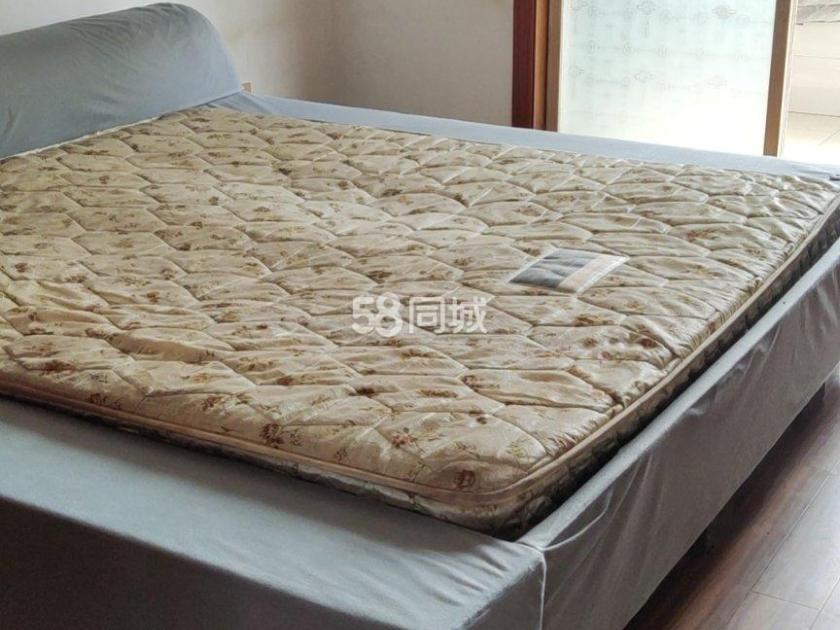 晓星小区 3居室 1500元/月