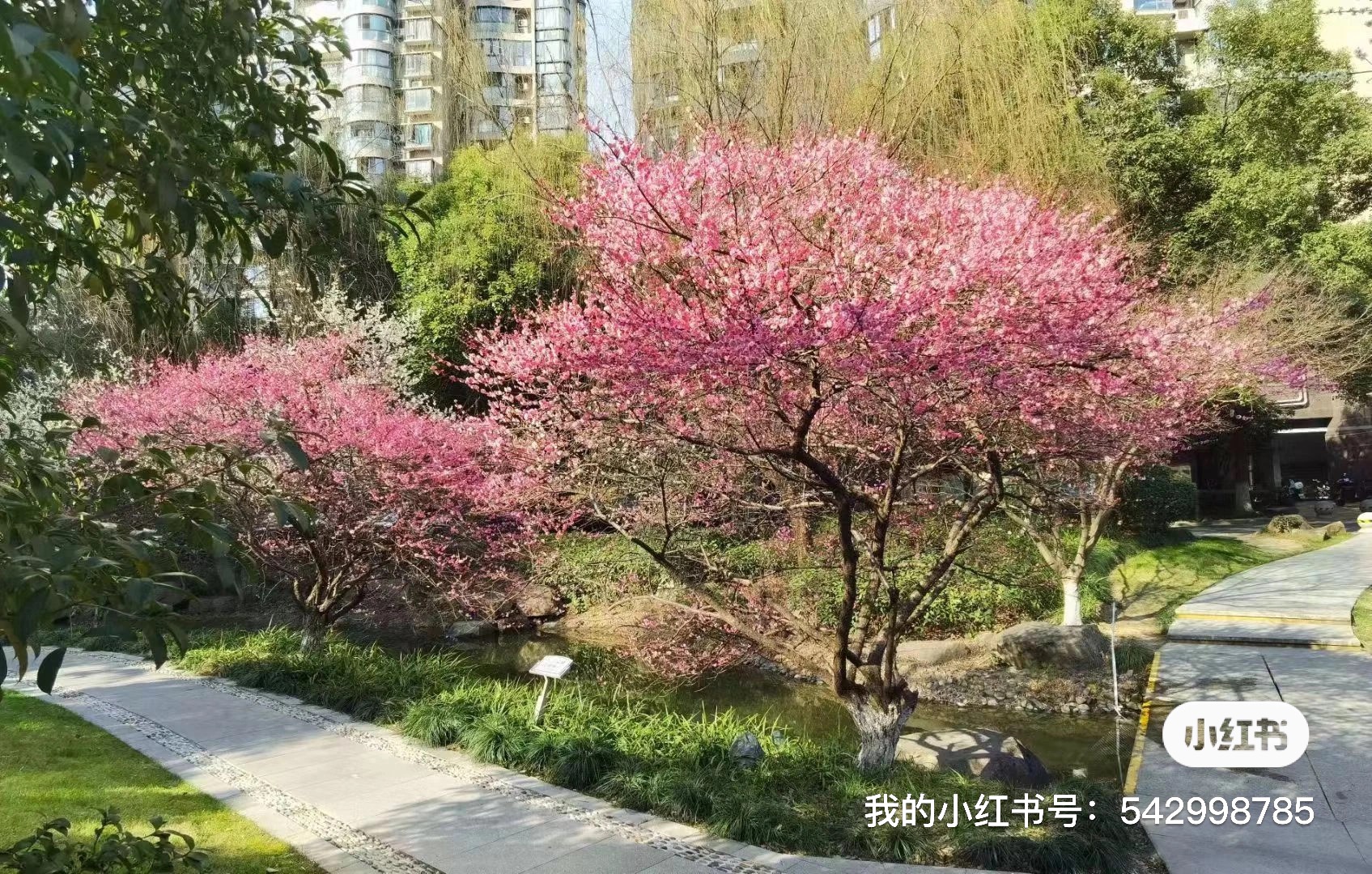 文鼎苑 随时看房·