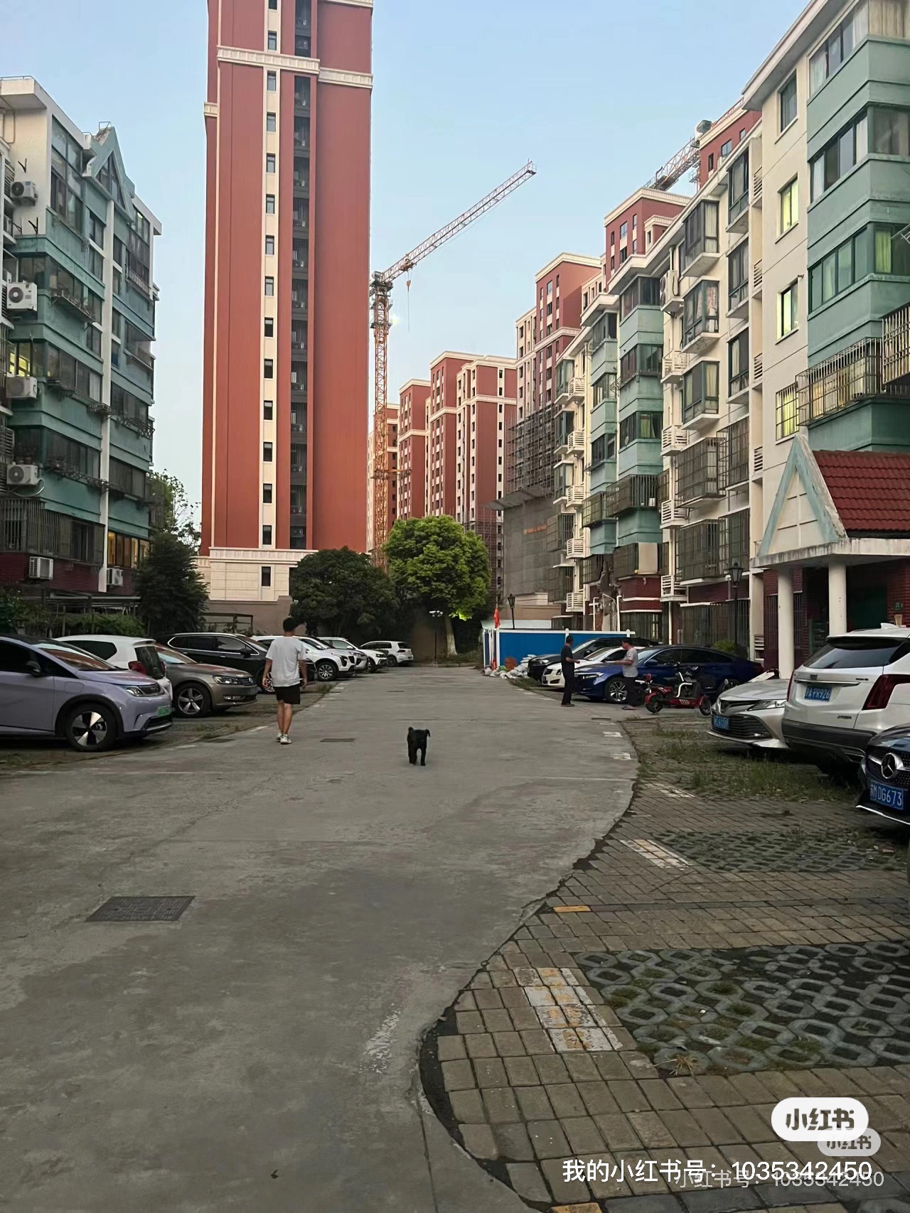 华丰苑 随时看房·