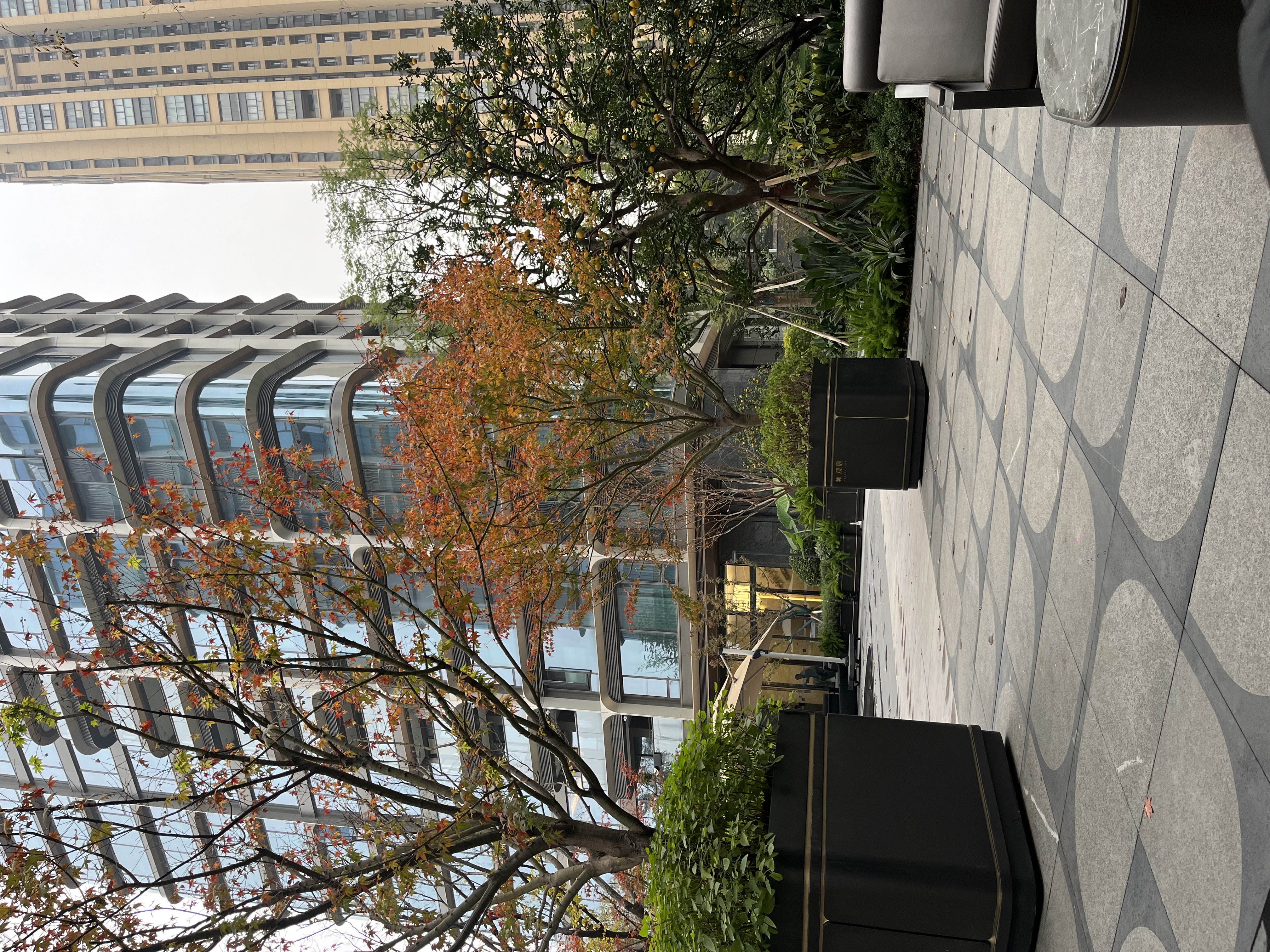 观宸云幕 随时看房·