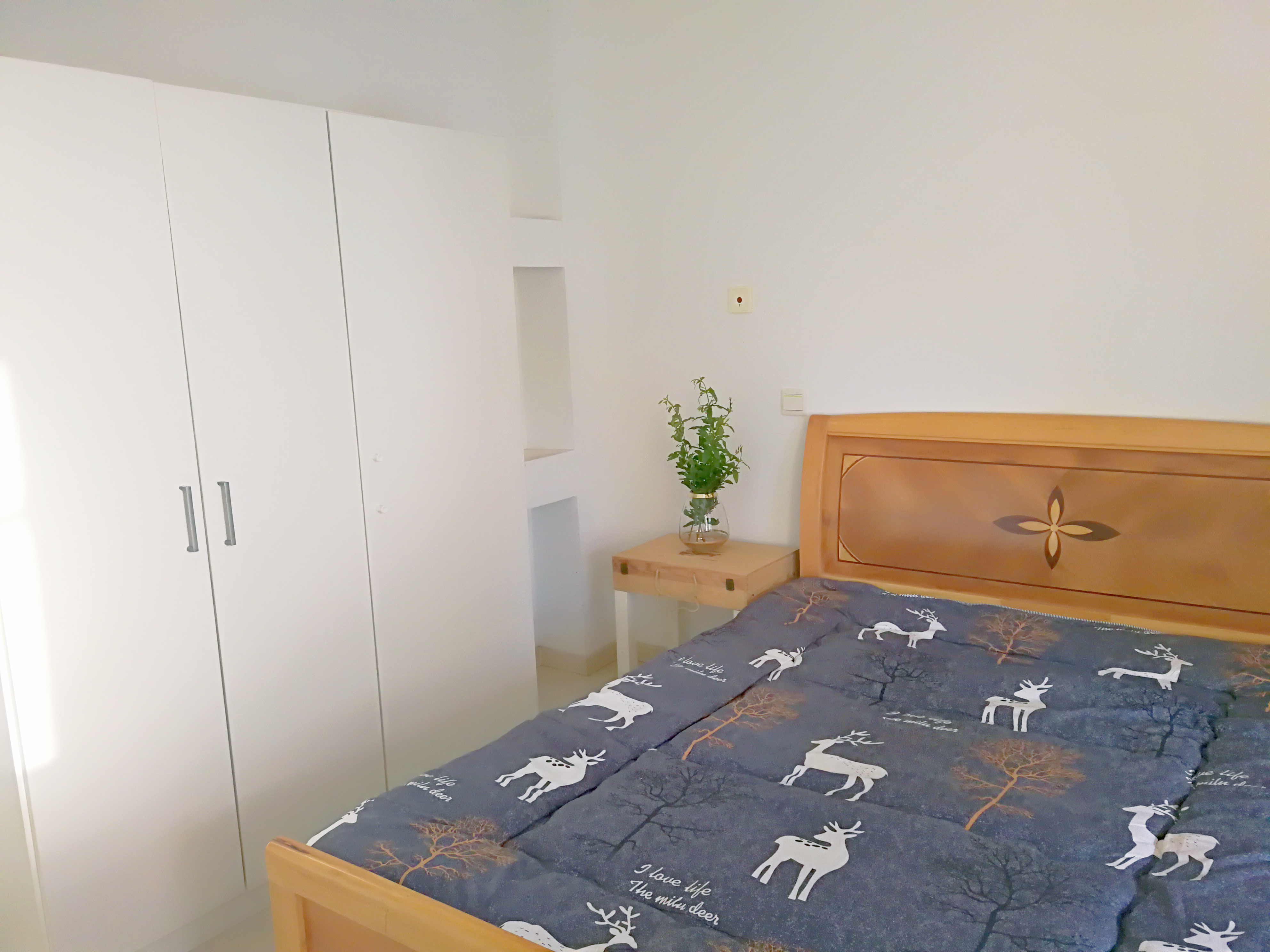 苏州古玩城 1居室 2300元/月