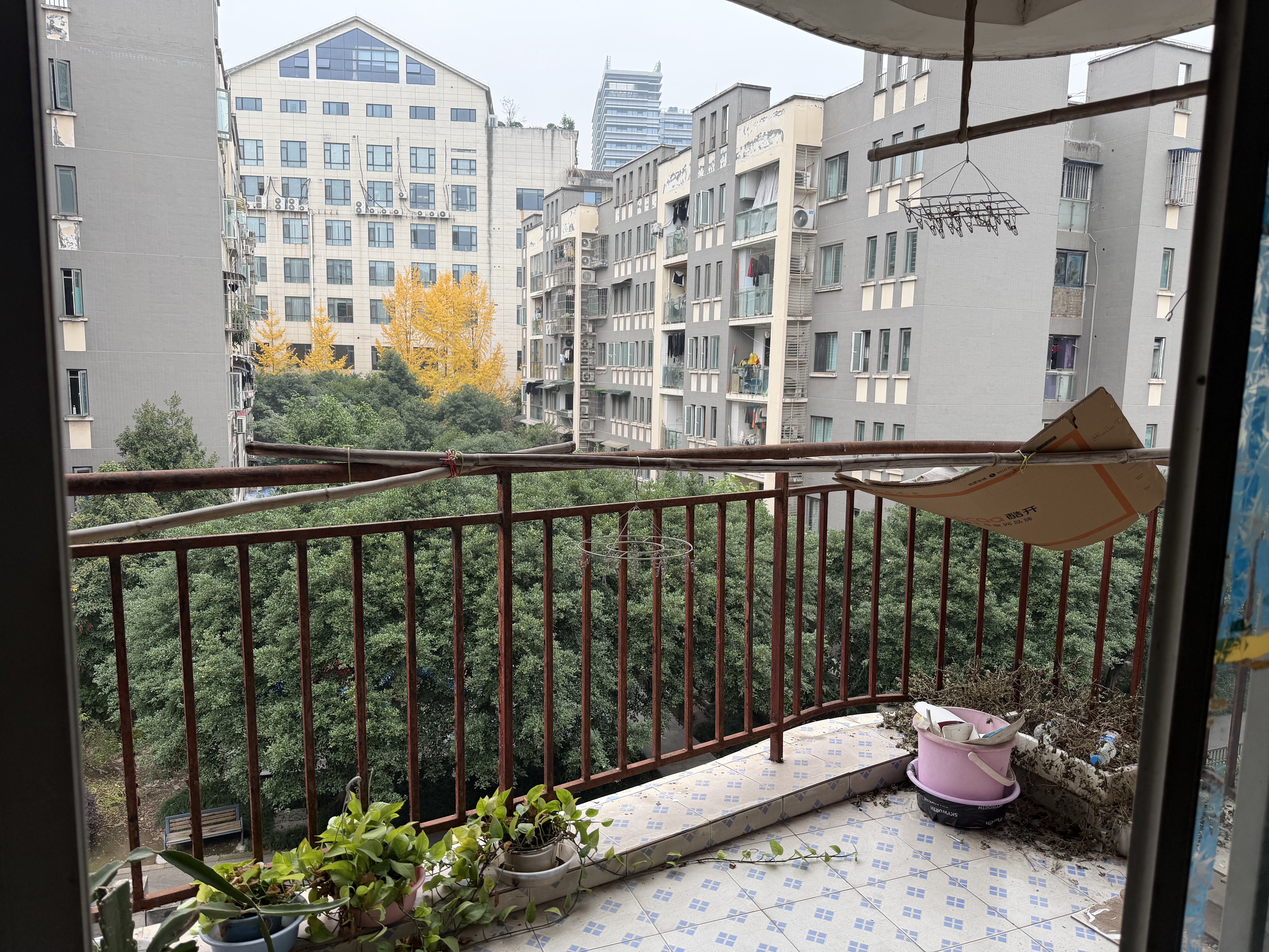 上锦新城 随时看房·