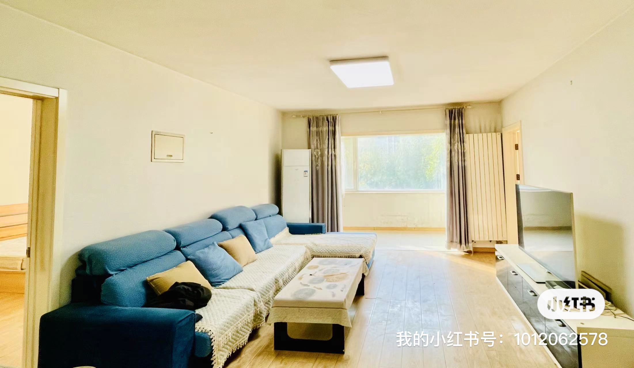 金鱼花石匠 4居室 6000元/月